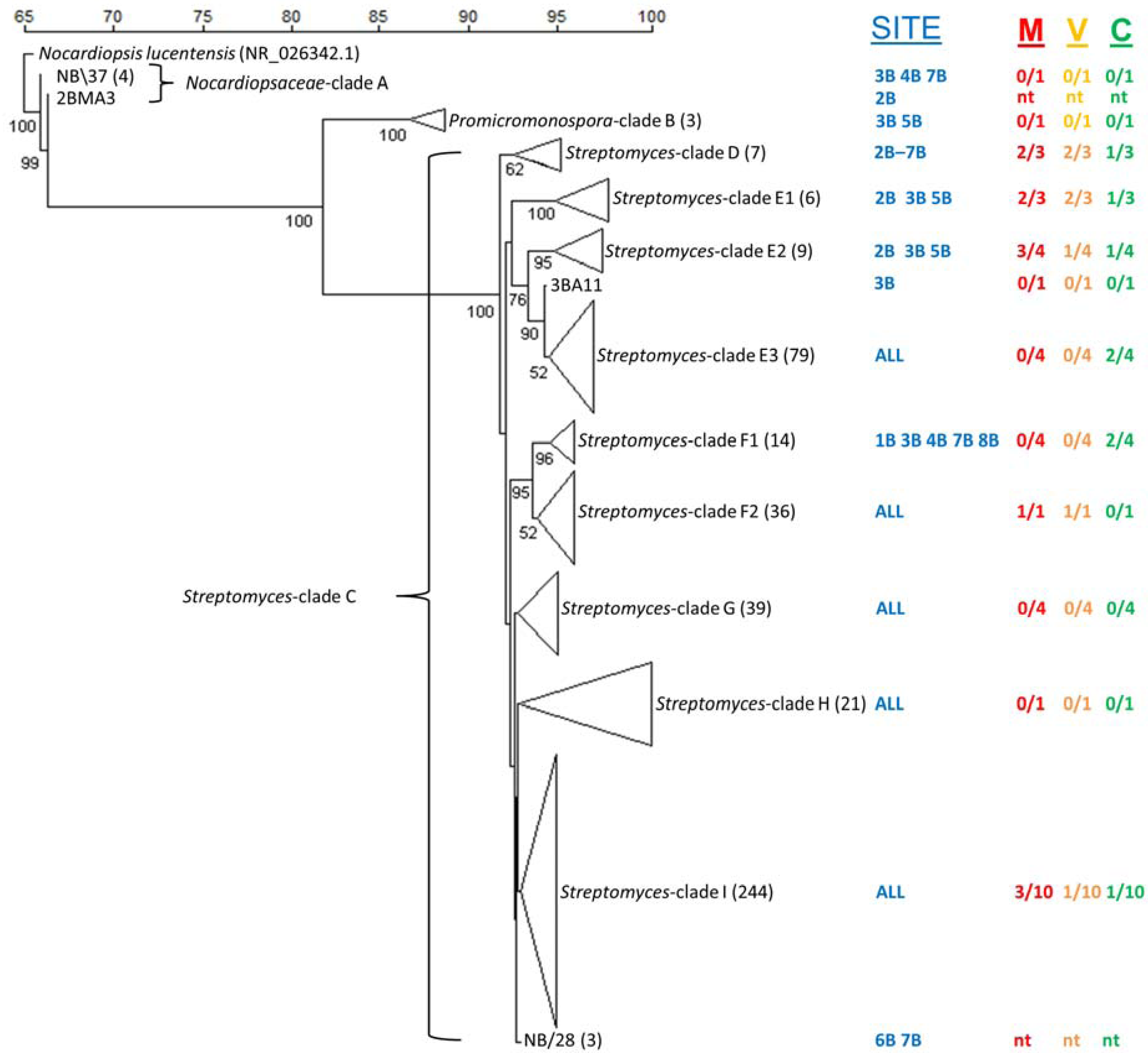 Marinedrugs 12 00899 g005