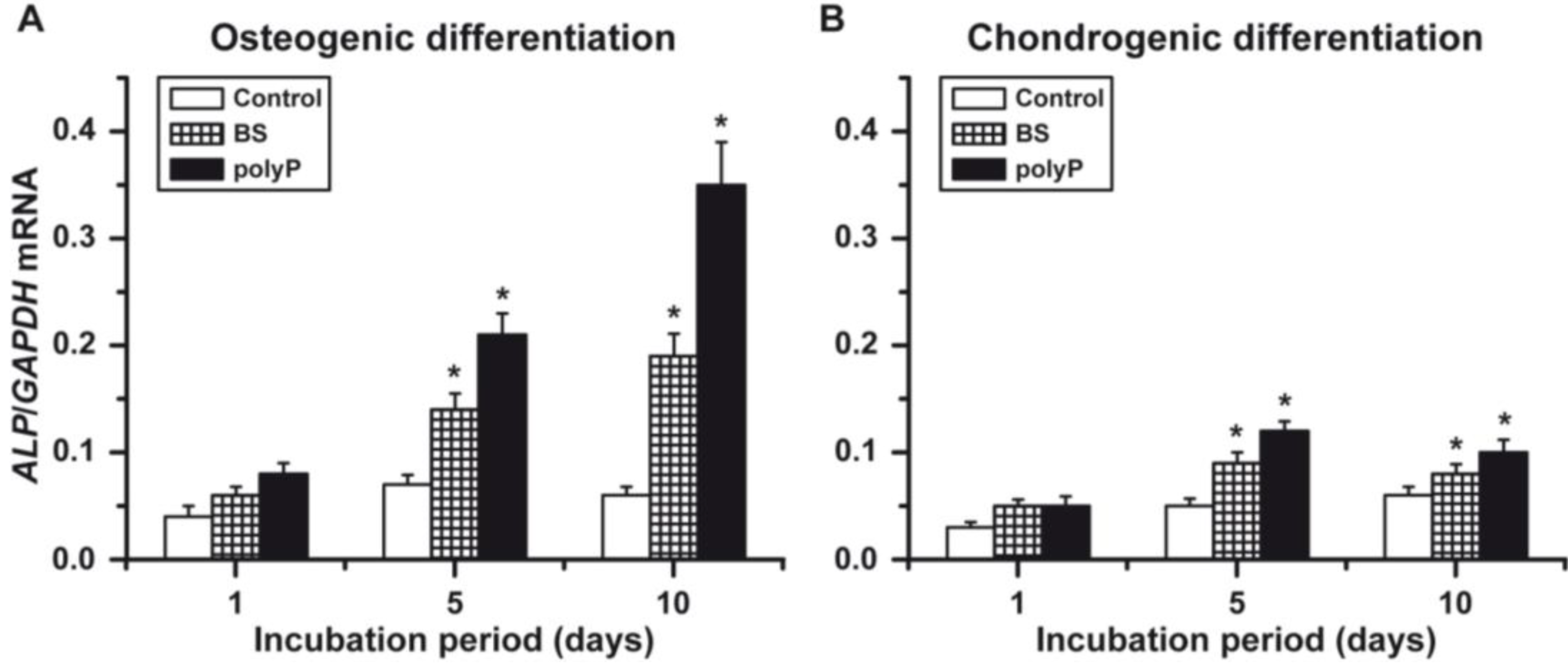 Marinedrugs 12 01131 g005