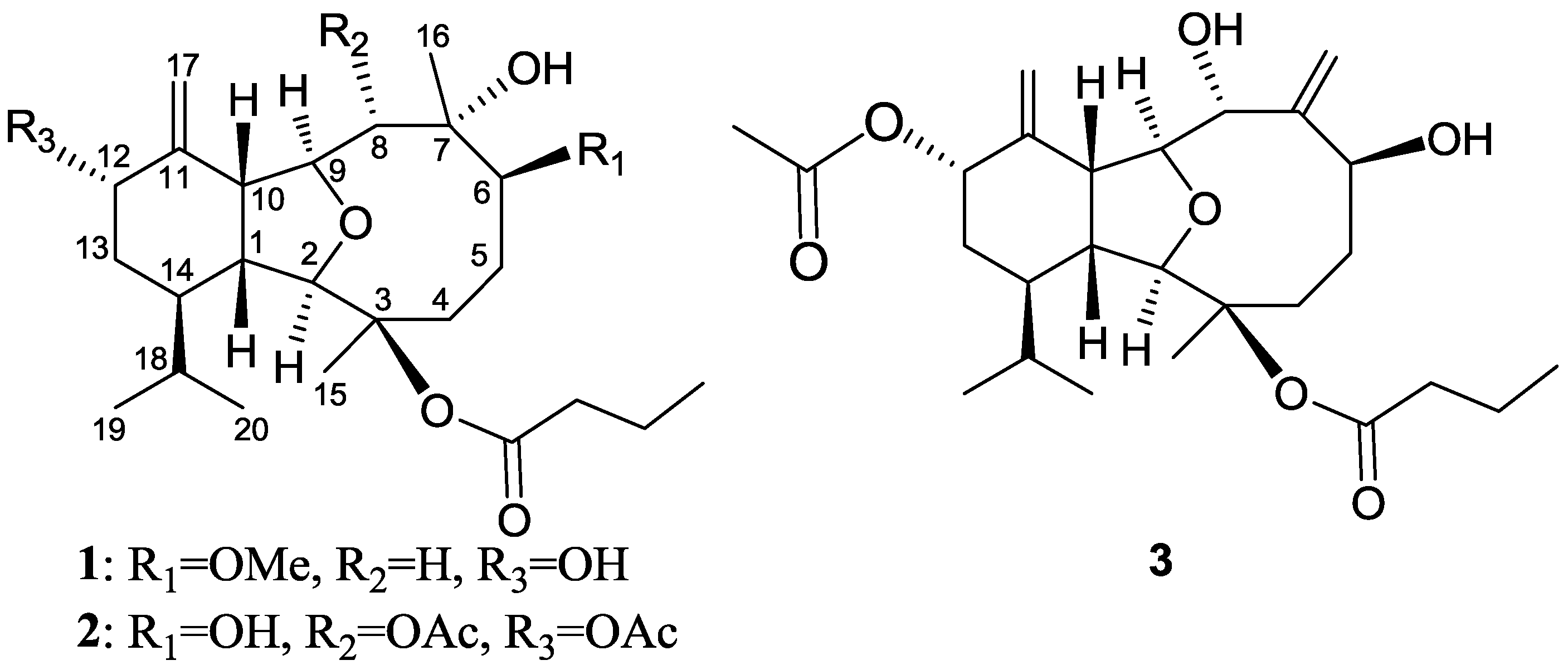 Marinedrugs 12 01148 g003 1024