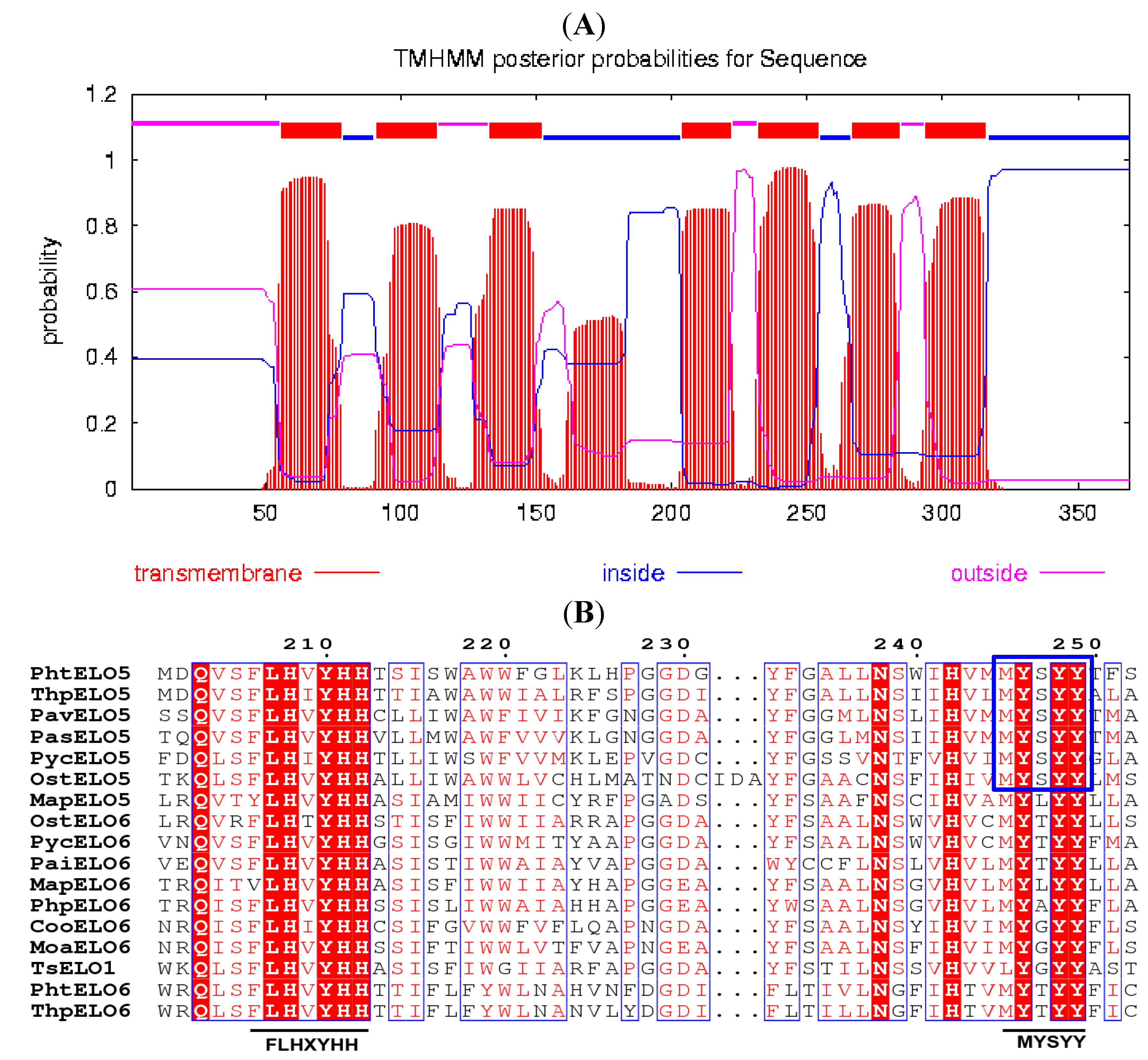 Marinedrugs 12 01317 g001