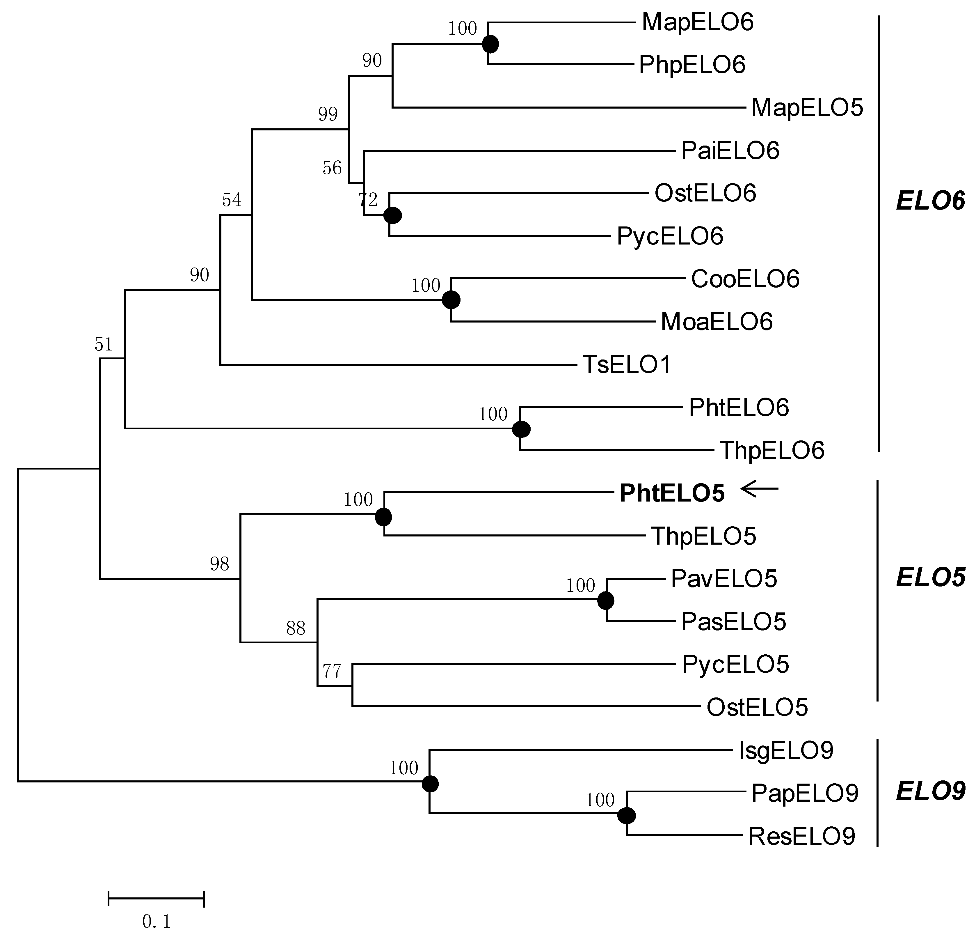 Marinedrugs 12 01317 g002