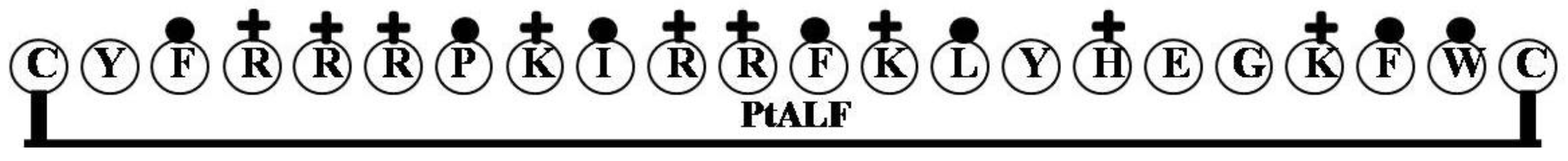 Marinedrugs 12 01471 g005