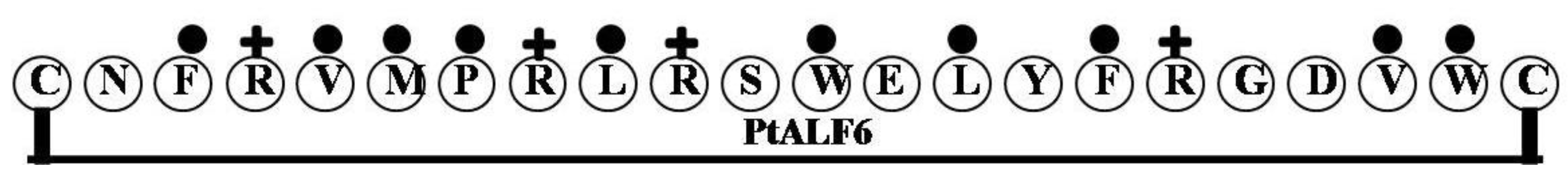 Marinedrugs 12 01471 g006