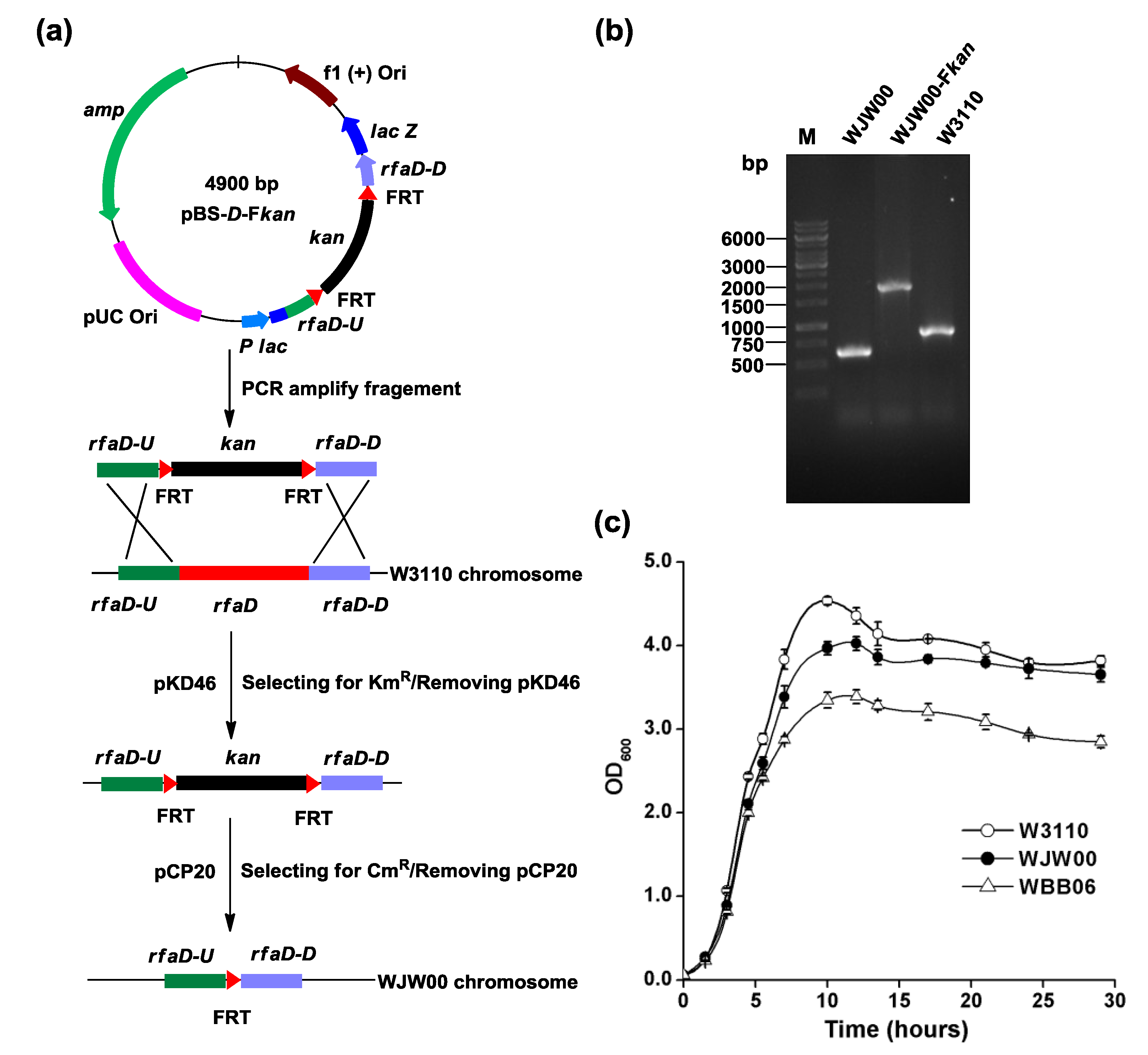 Marinedrugs 12 01495 g002