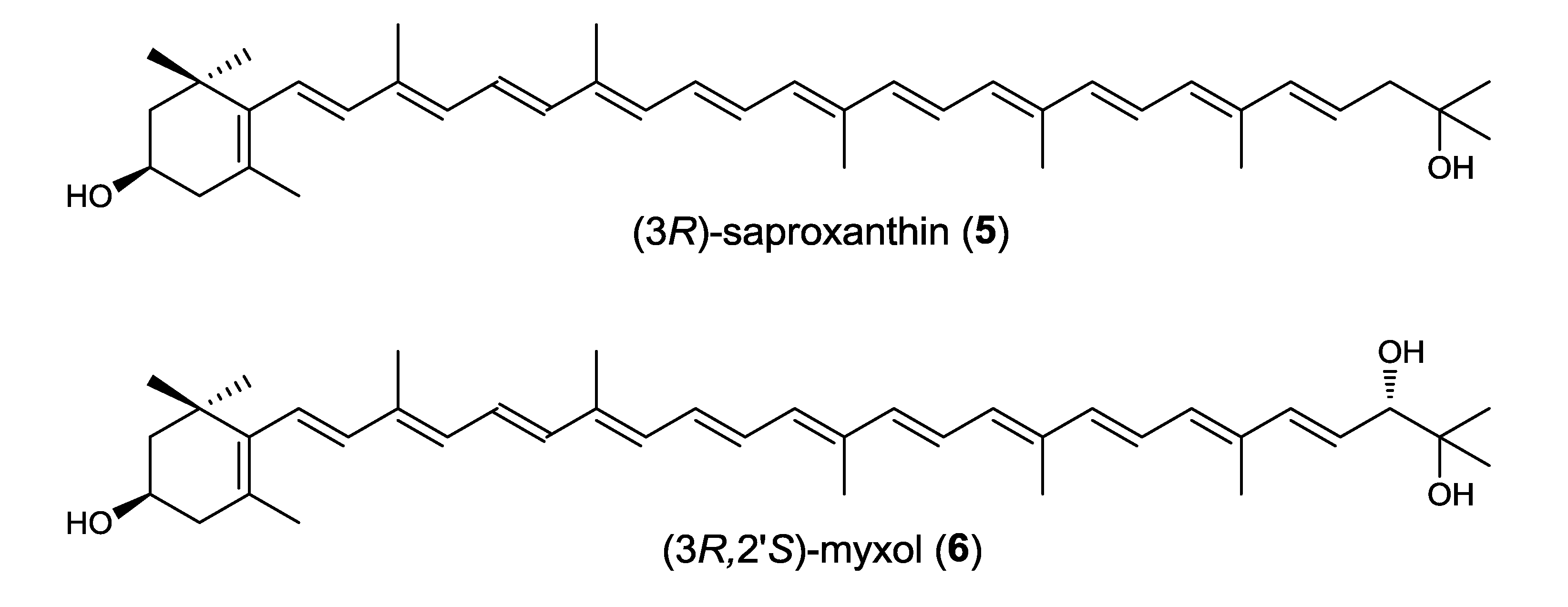 Marinedrugs 12 01690 g003