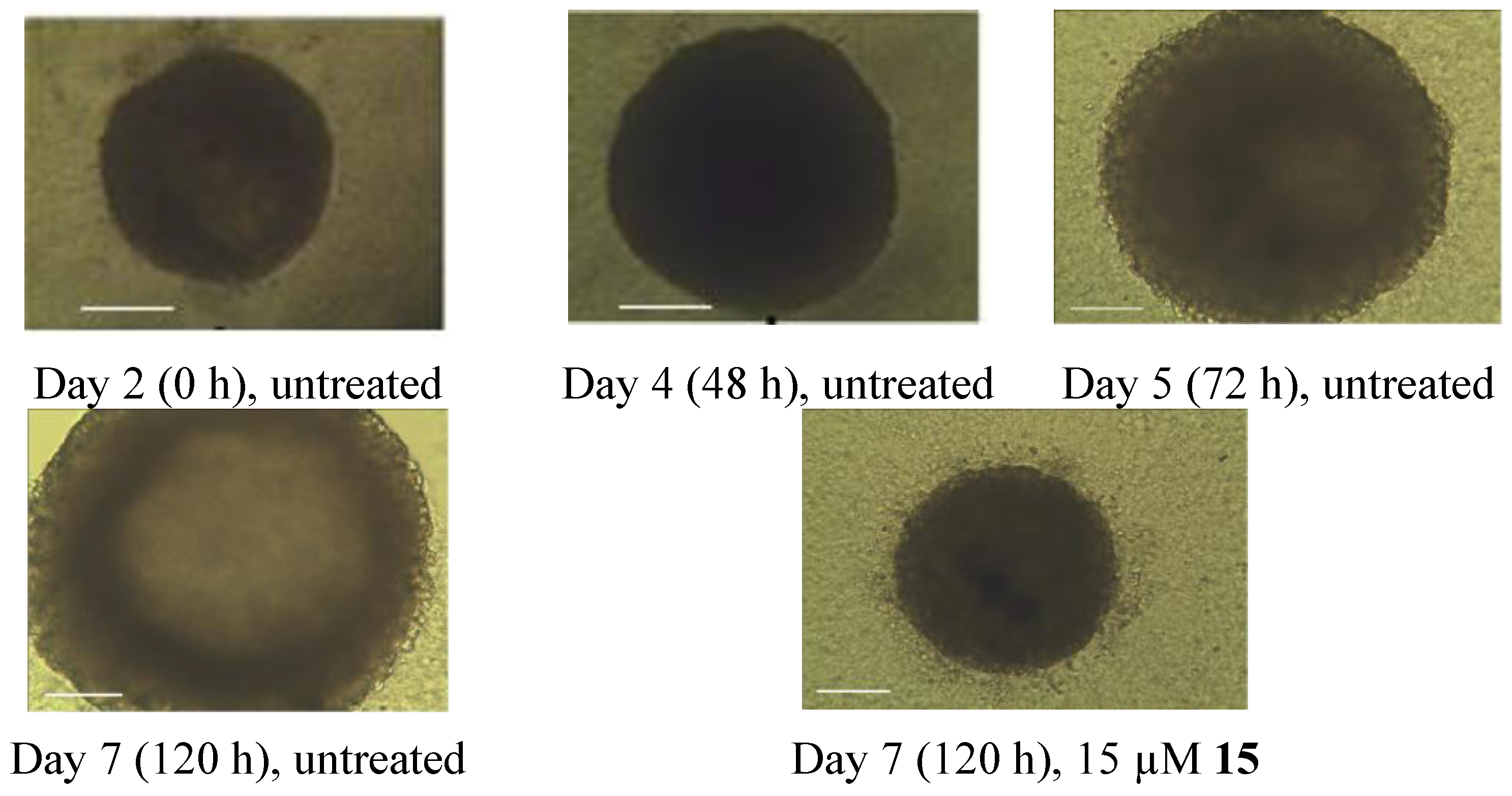 Marinedrugs 12 01715 g002 1024