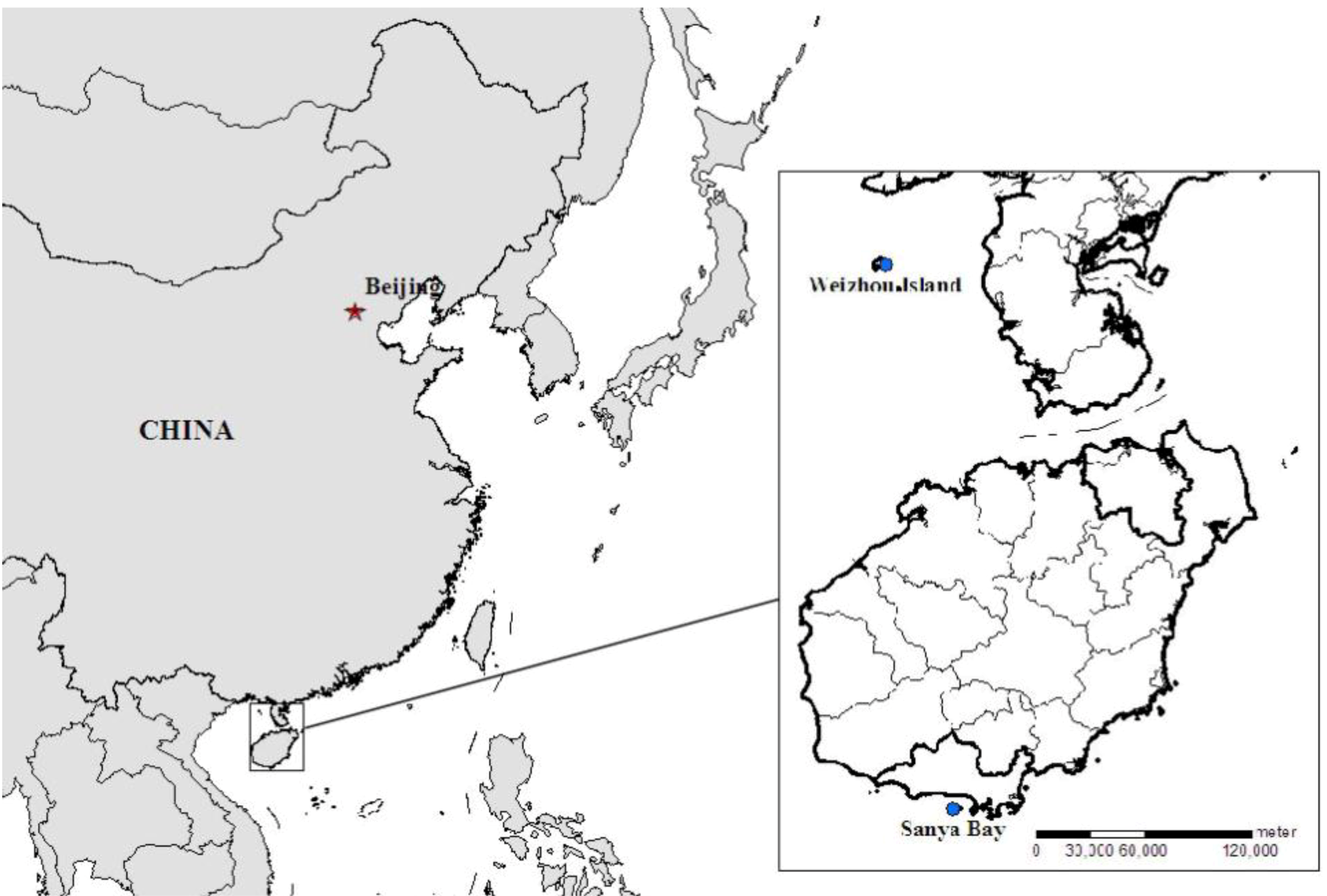 Marinedrugs 12 01876 g004 1024