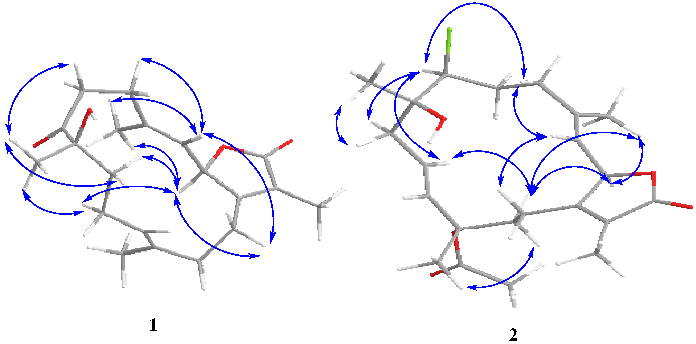 Marinedrugs 12 01977 g003 1024