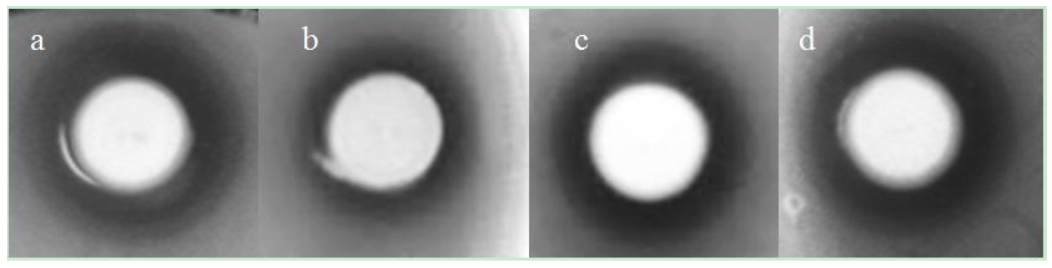 Marinedrugs 12 02422 g002 1024