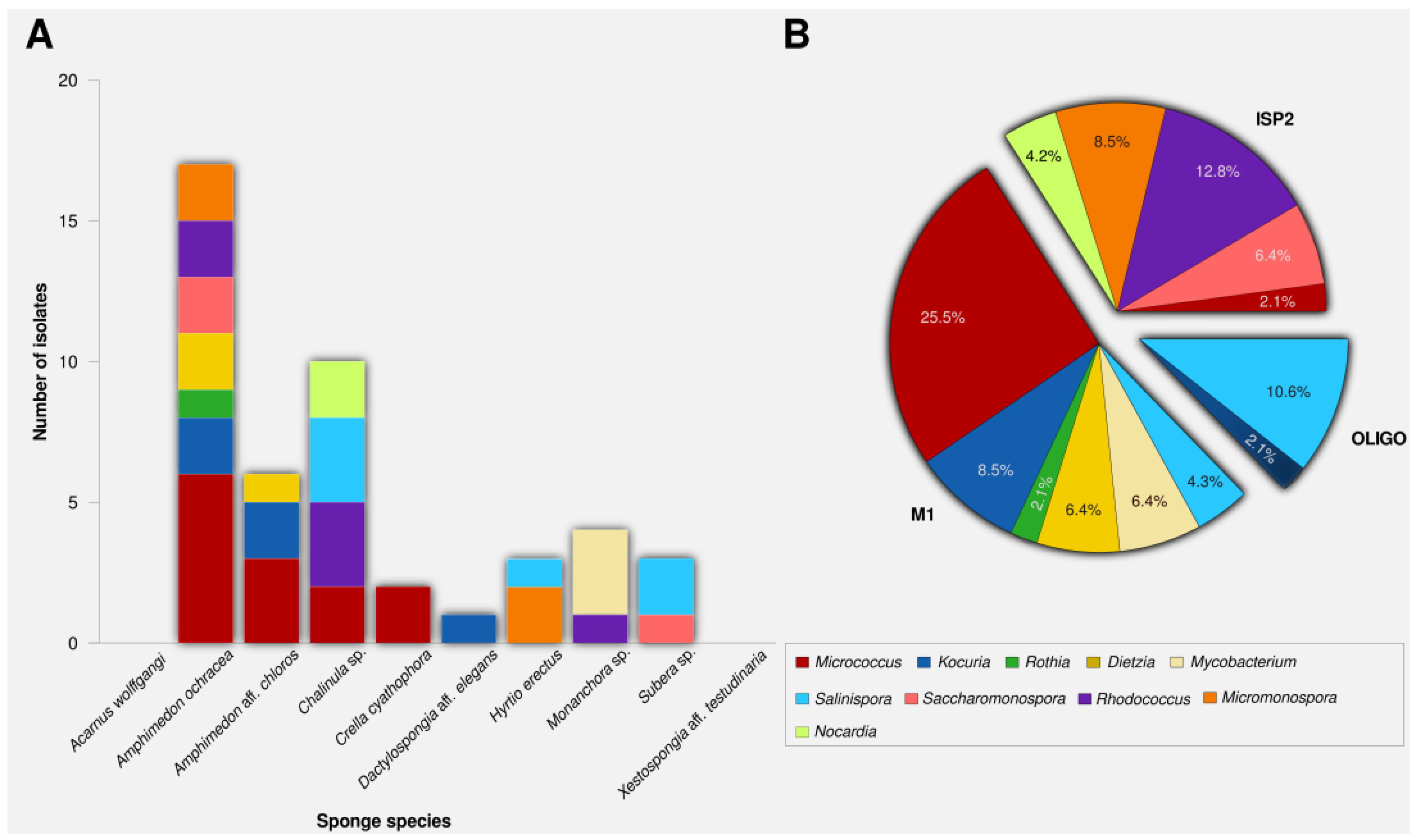 Marine Drugs Free FullText Actinomycetes from Red Sea