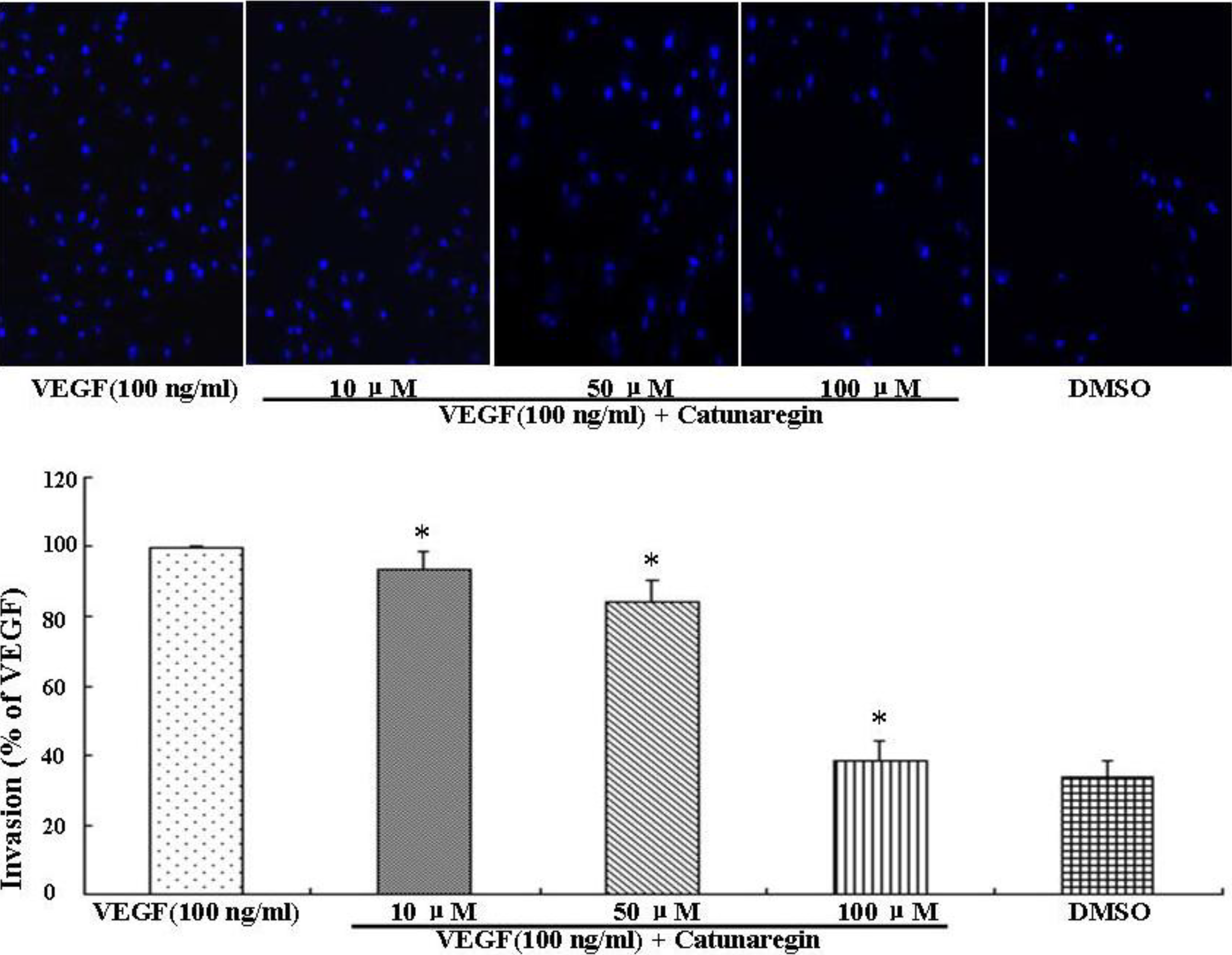 Marinedrugs 12 02790 g002 1024