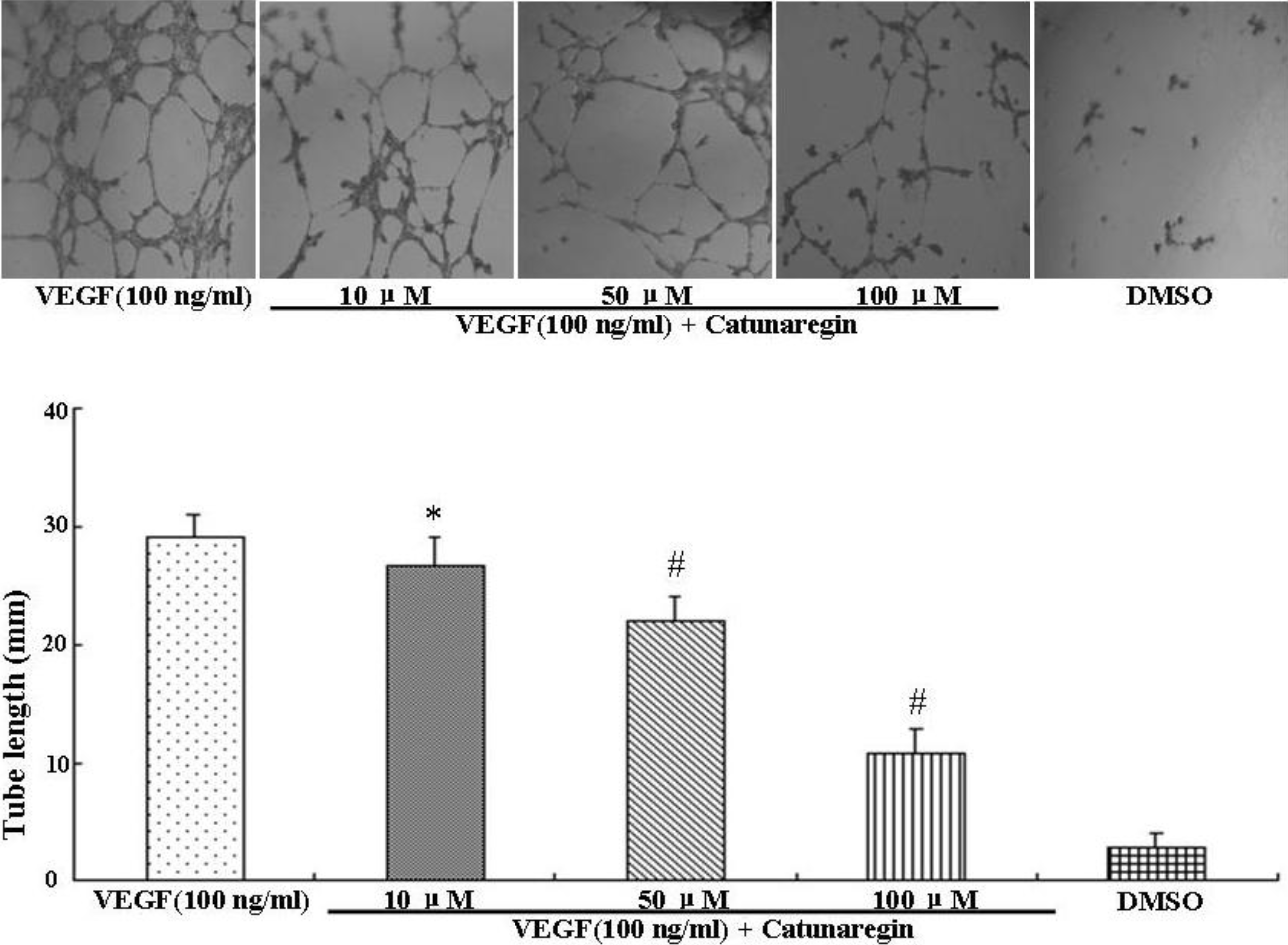 Marinedrugs 12 02790 g003 1024