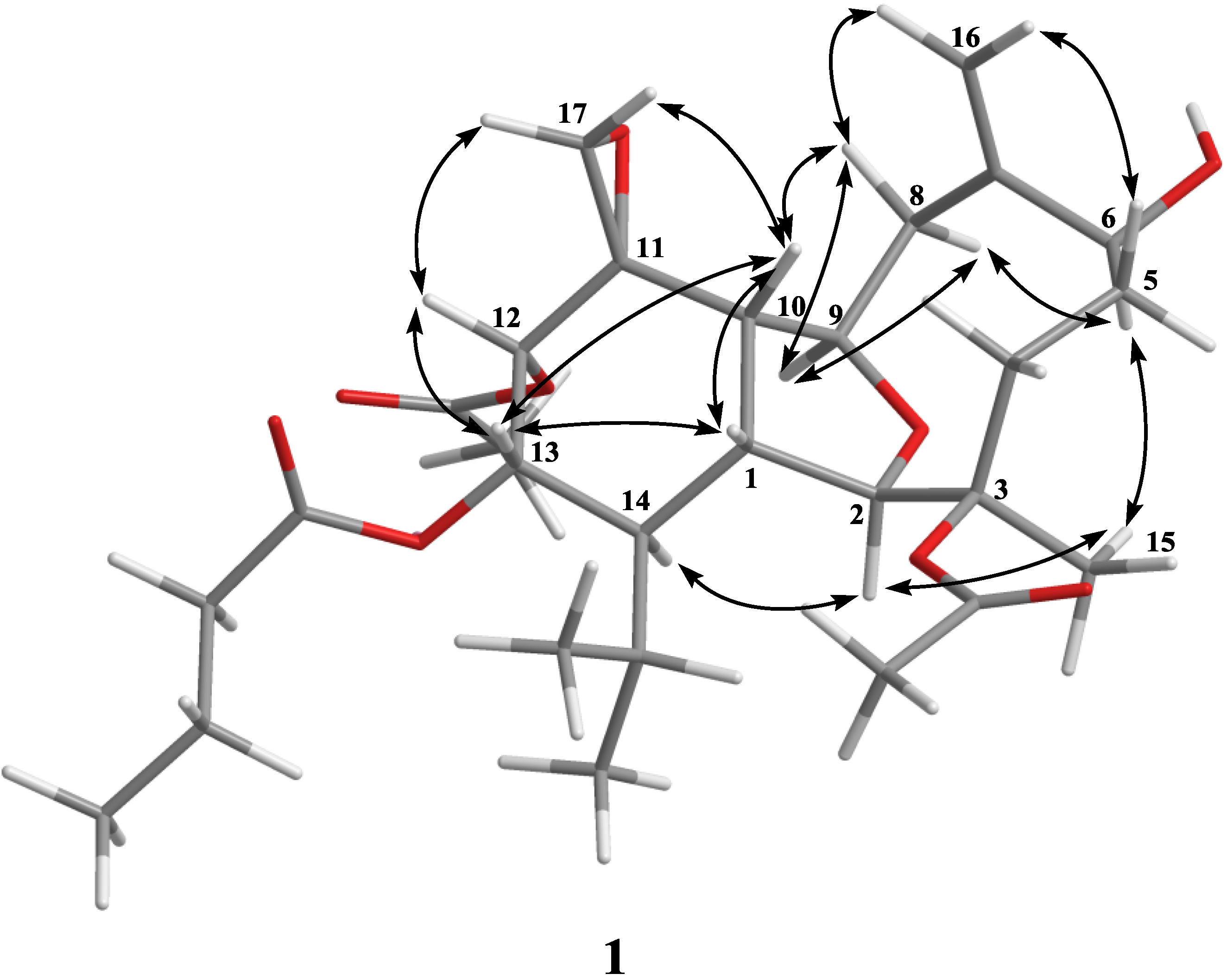 Marinedrugs 12 03060 g002