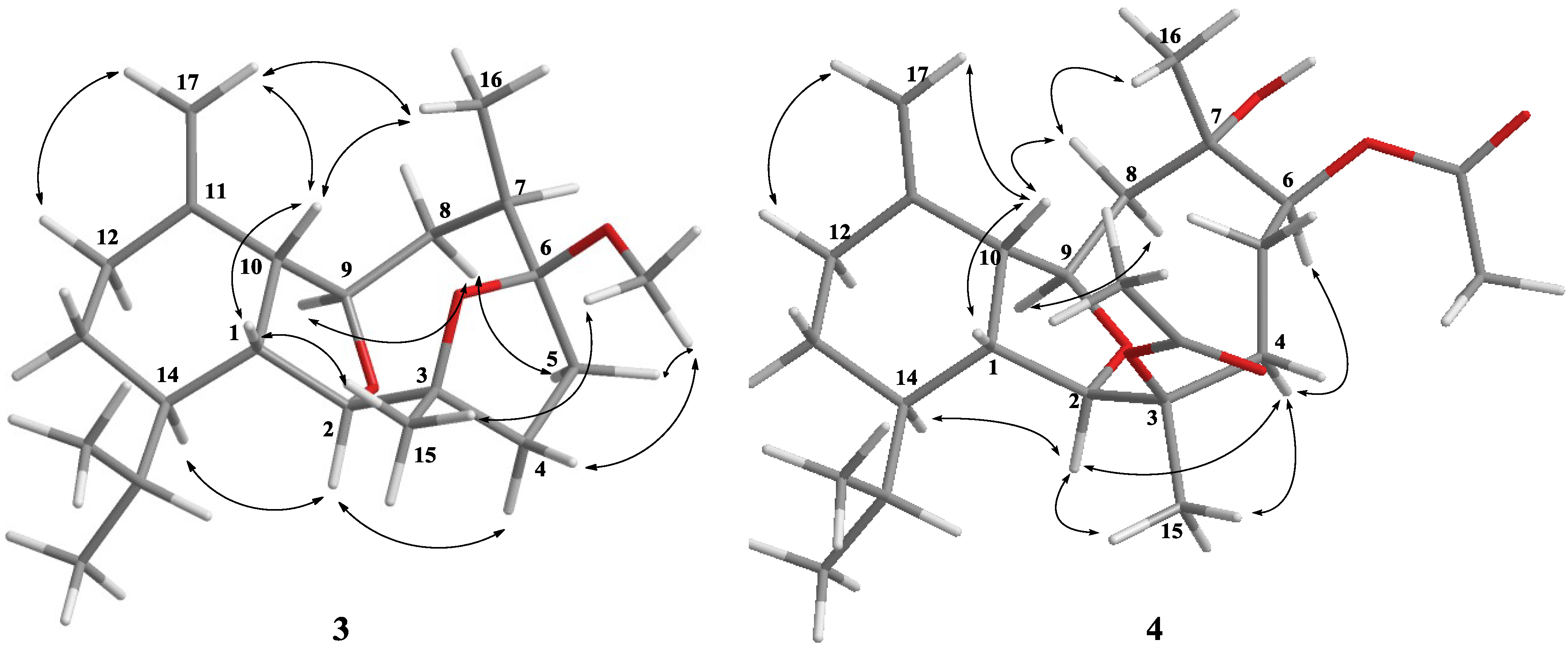 Marinedrugs 12 03060 g003