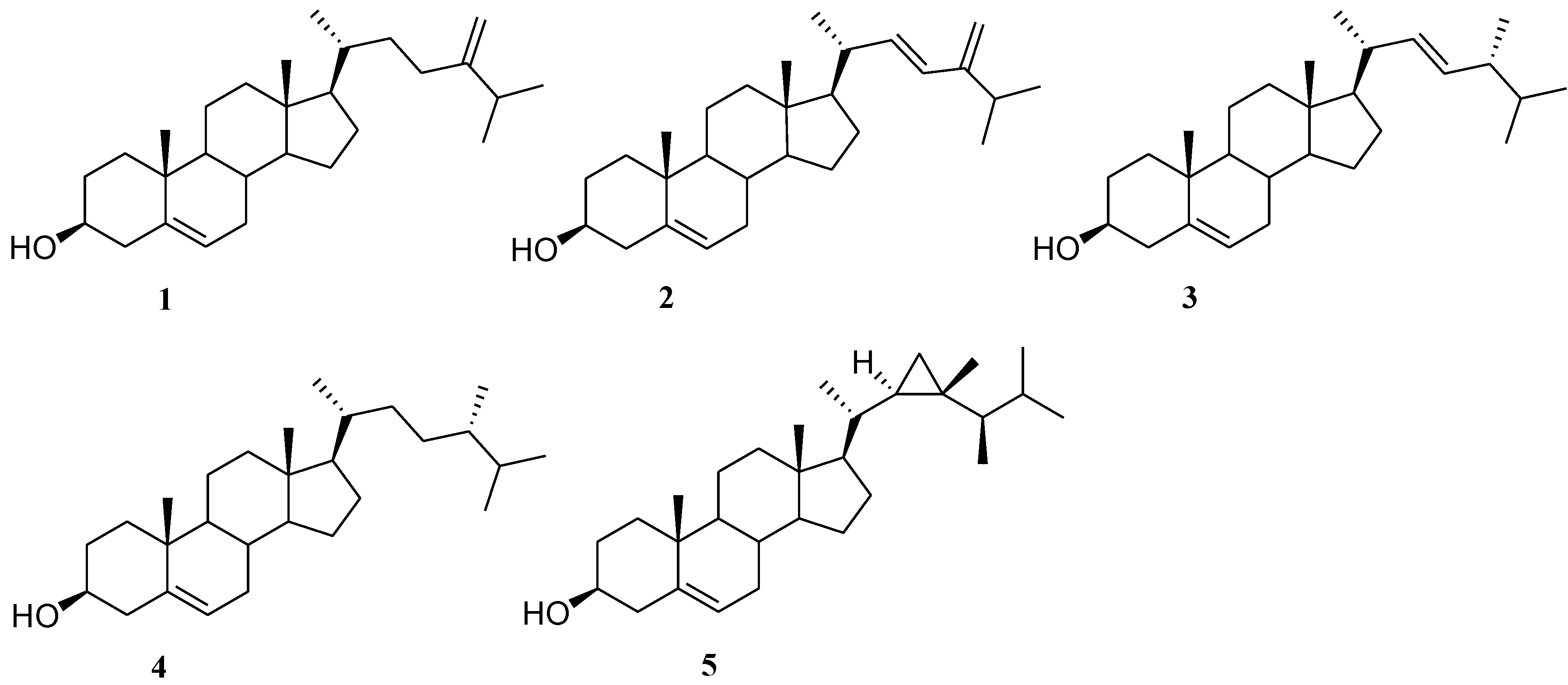 Marinedrugs 12 03091 g001