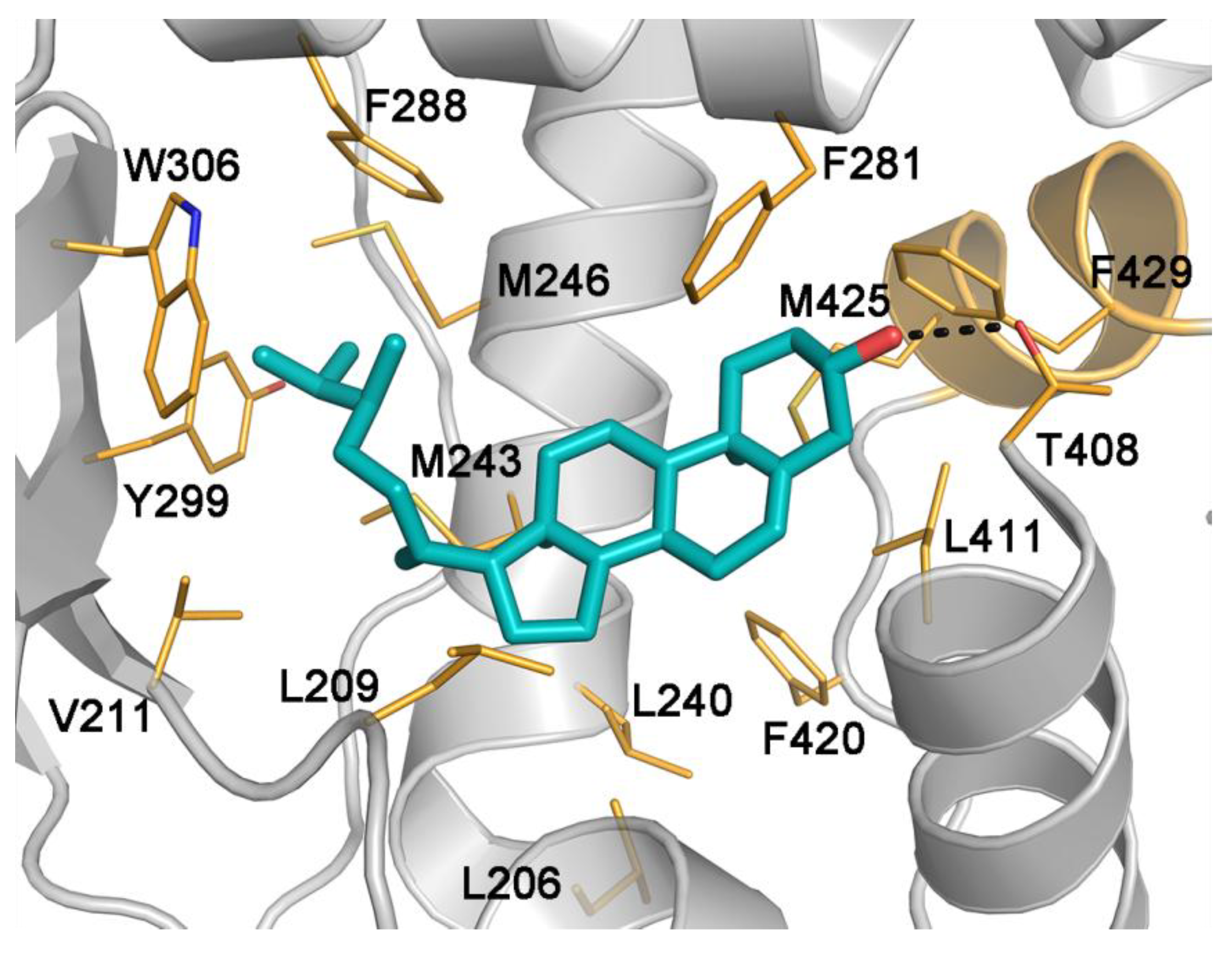 Marinedrugs 12 03091 g005