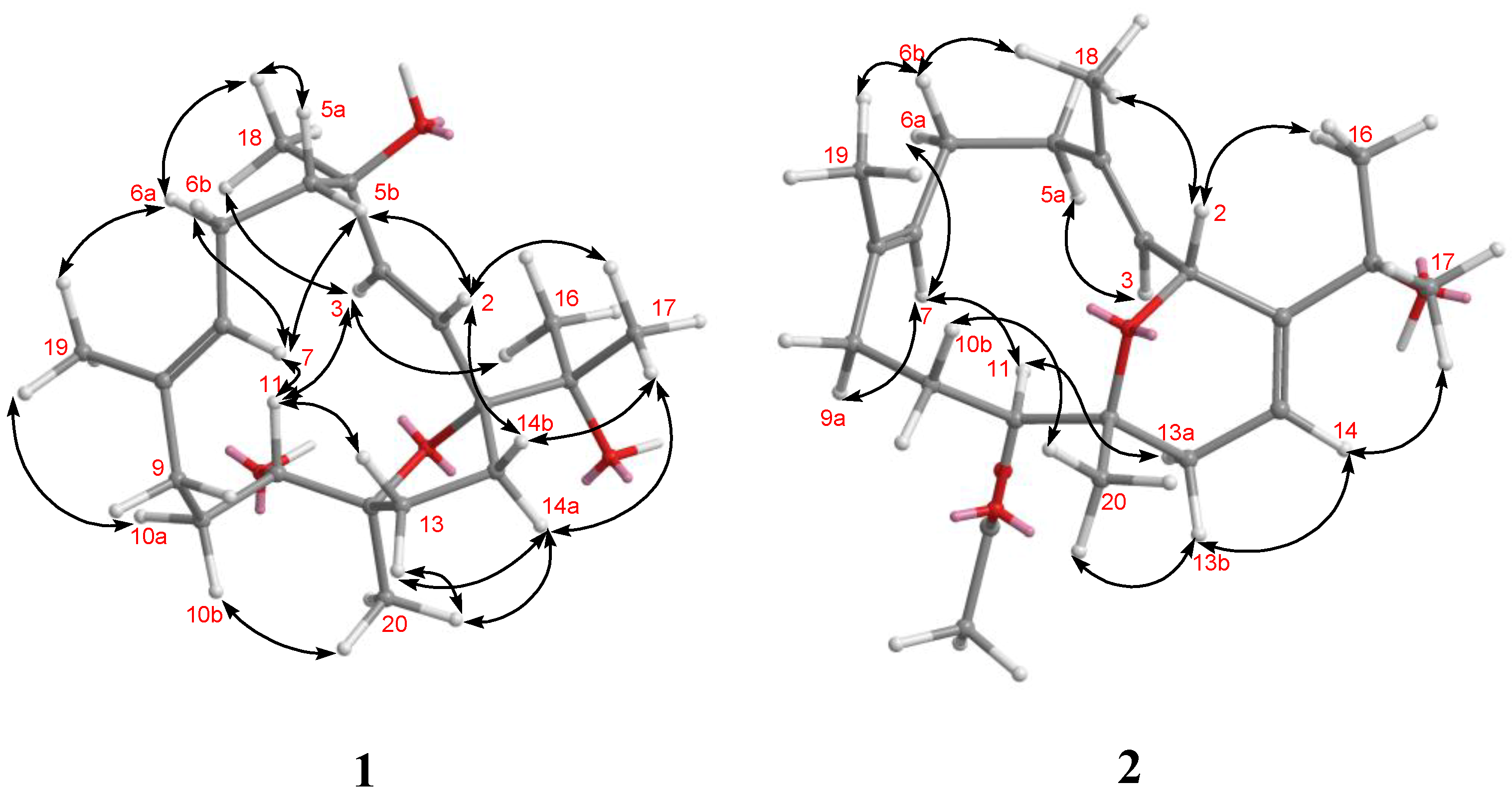 Marinedrugs 12 03371 g004 1024