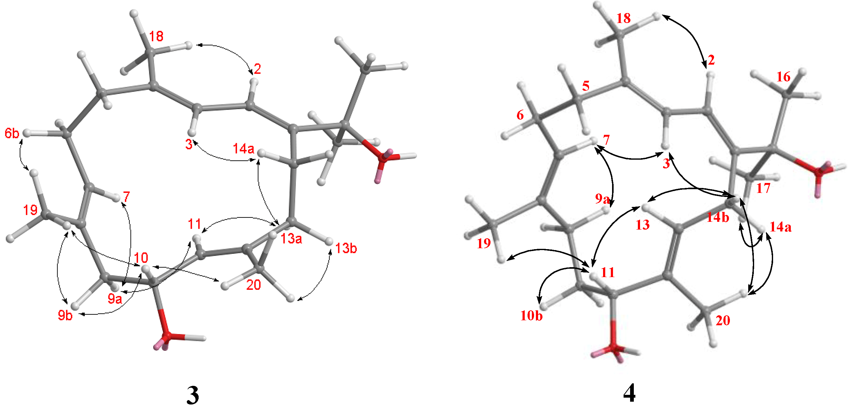 Marinedrugs 12 03371 g006 1024