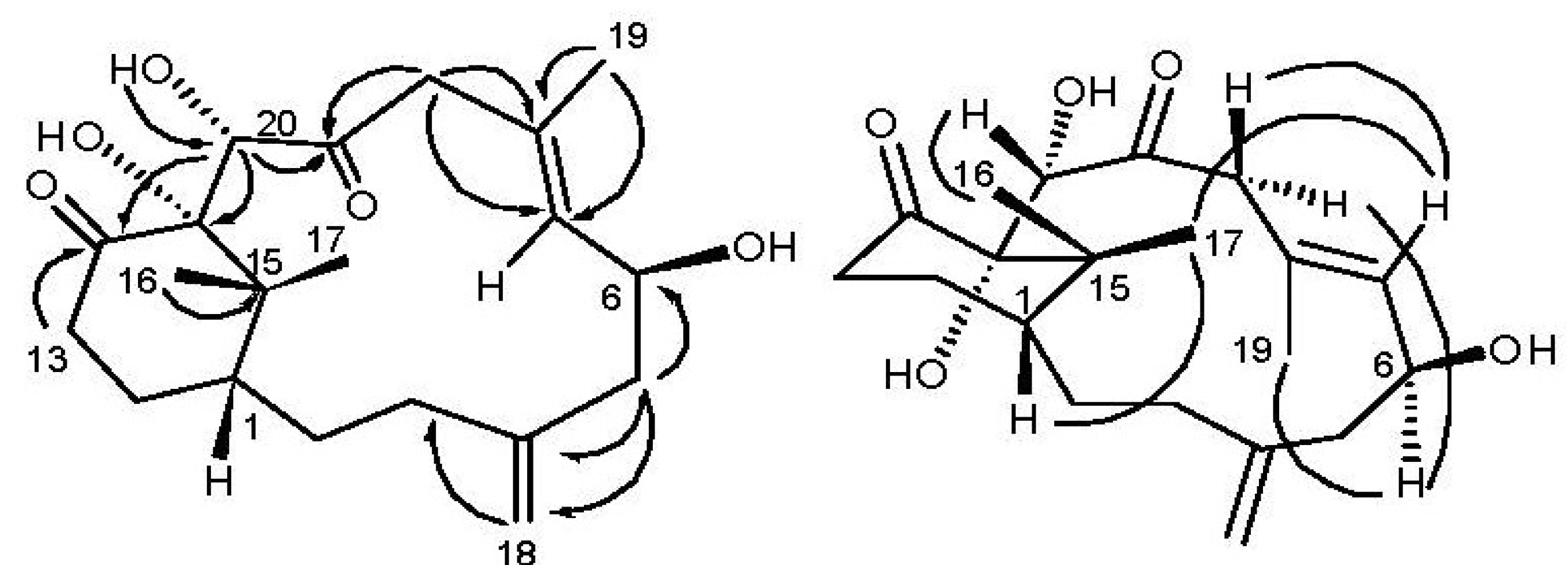 Marinedrugs 12 03477 g002 1024