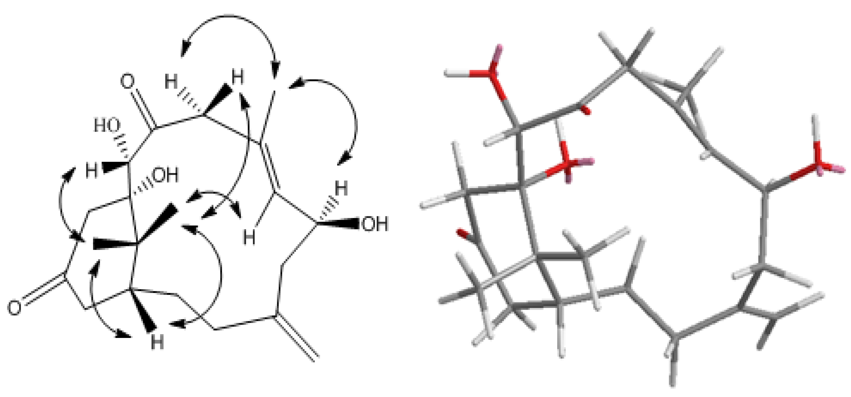 Marinedrugs 12 03477 g004 1024