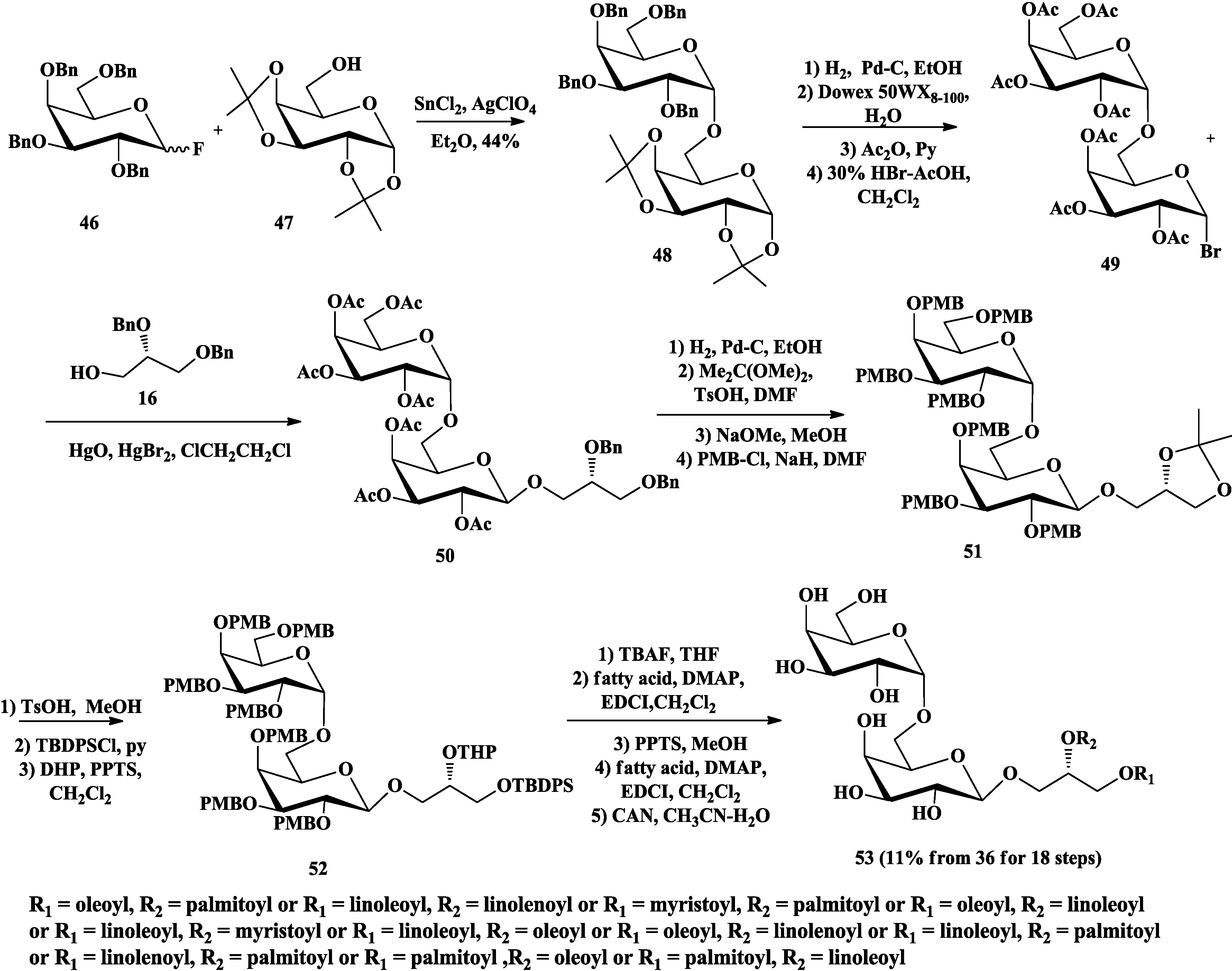 Marinedrugs 12 03634 g011