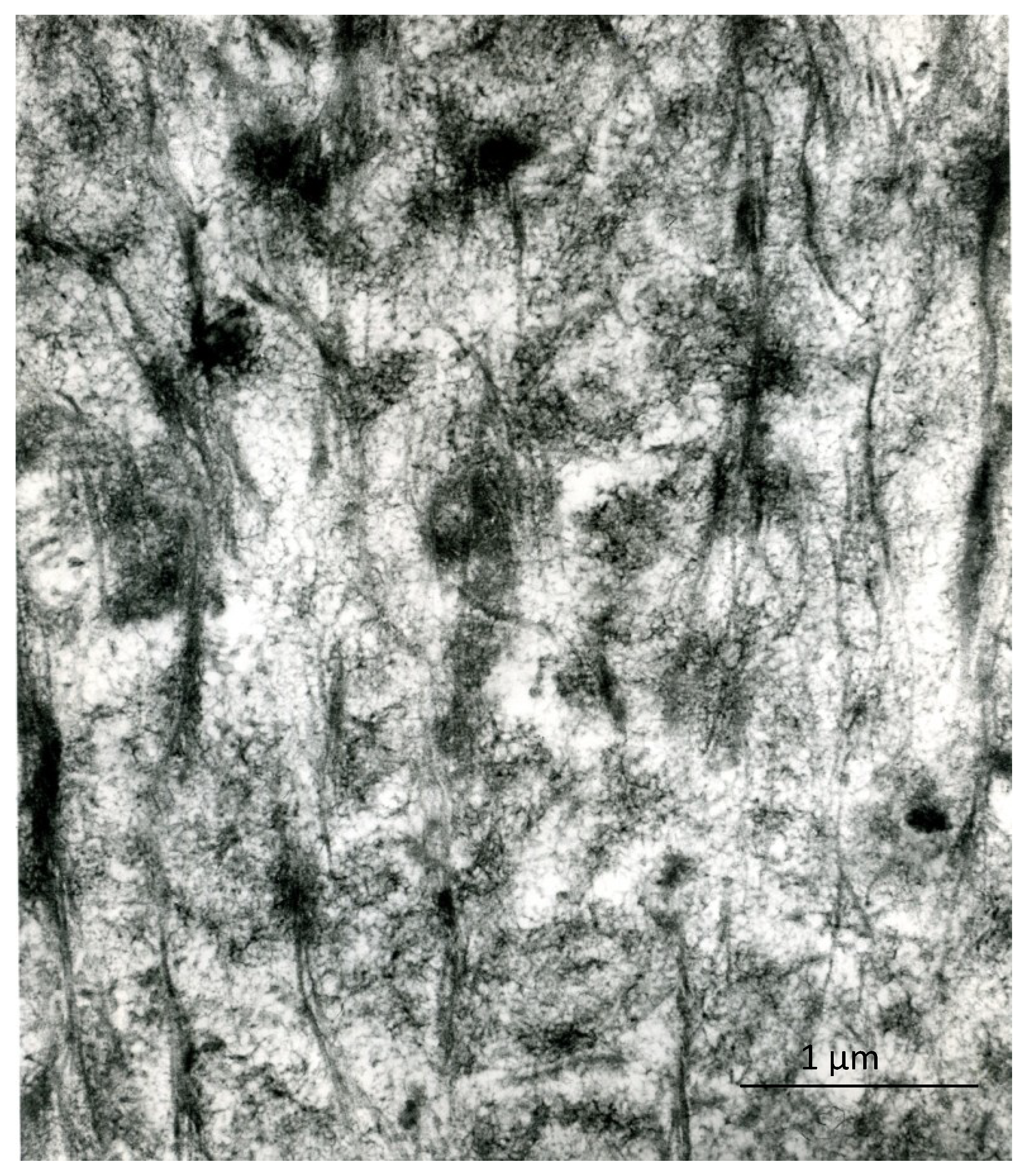 Marinedrugs 12 04231 g005