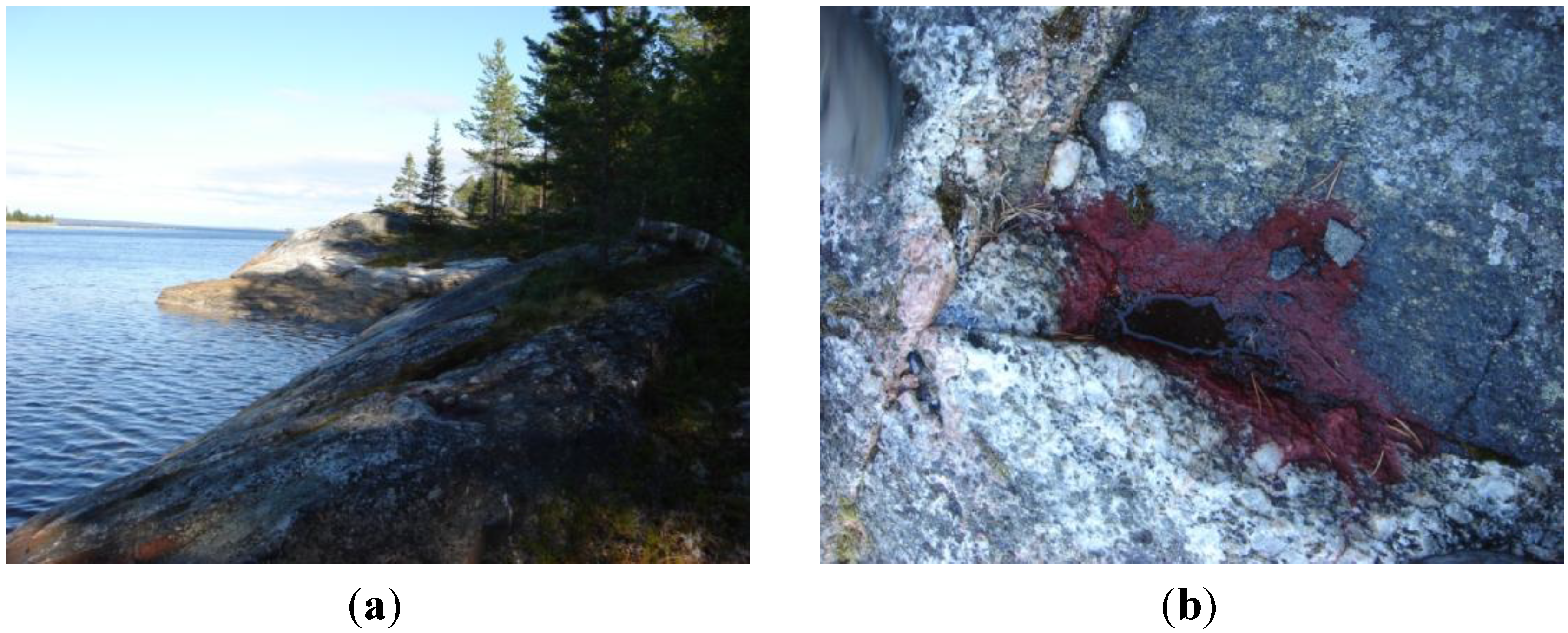 Marinedrugs 12 04504 g001