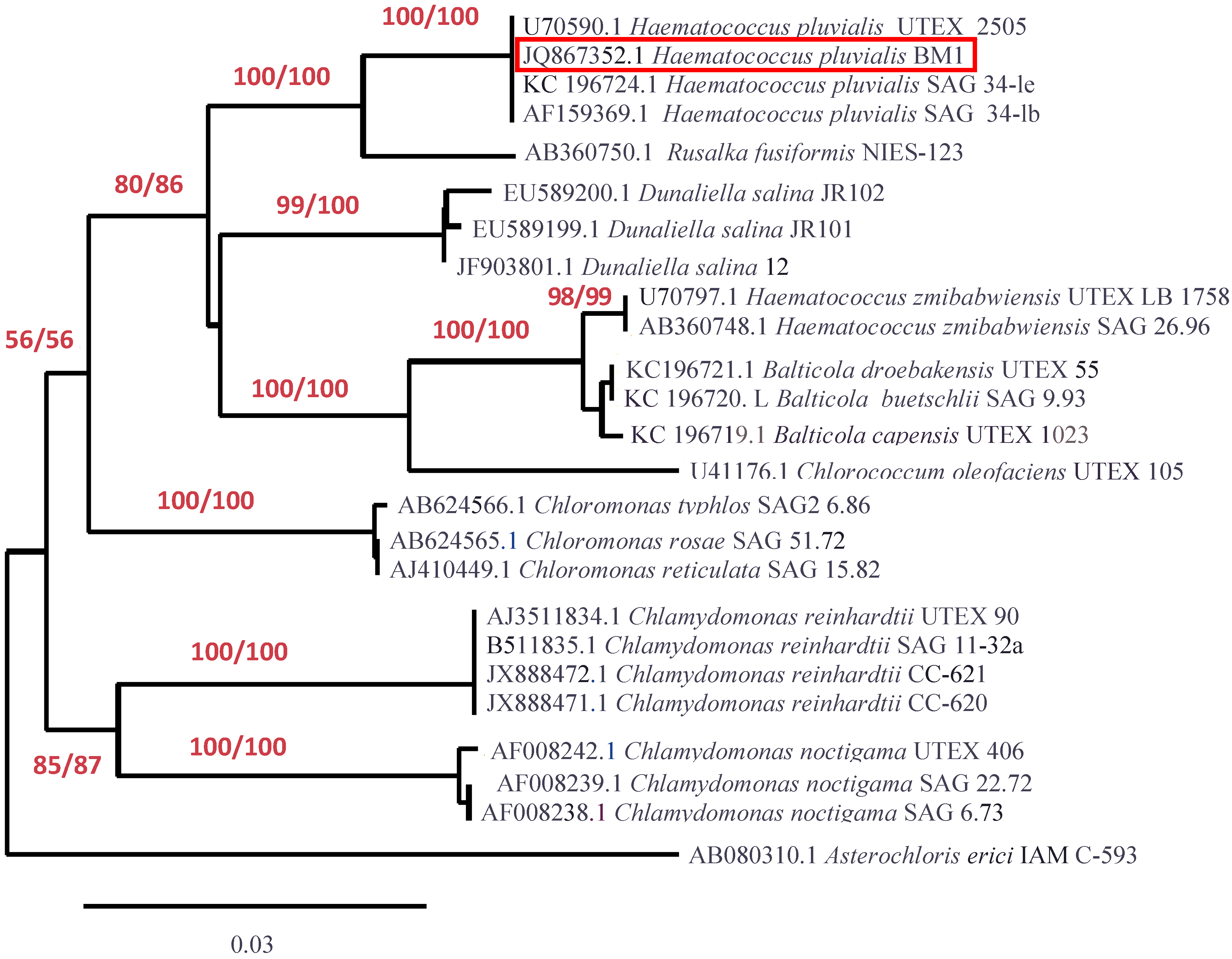 Marinedrugs 12 04504 g004