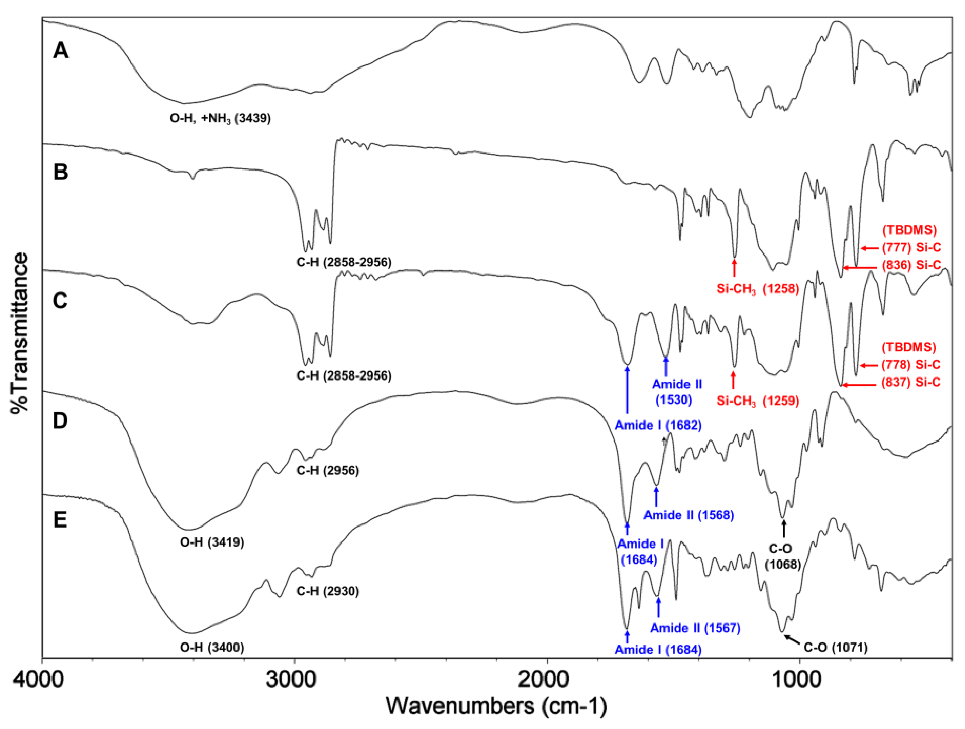 Marinedrugs 12 04635 g002