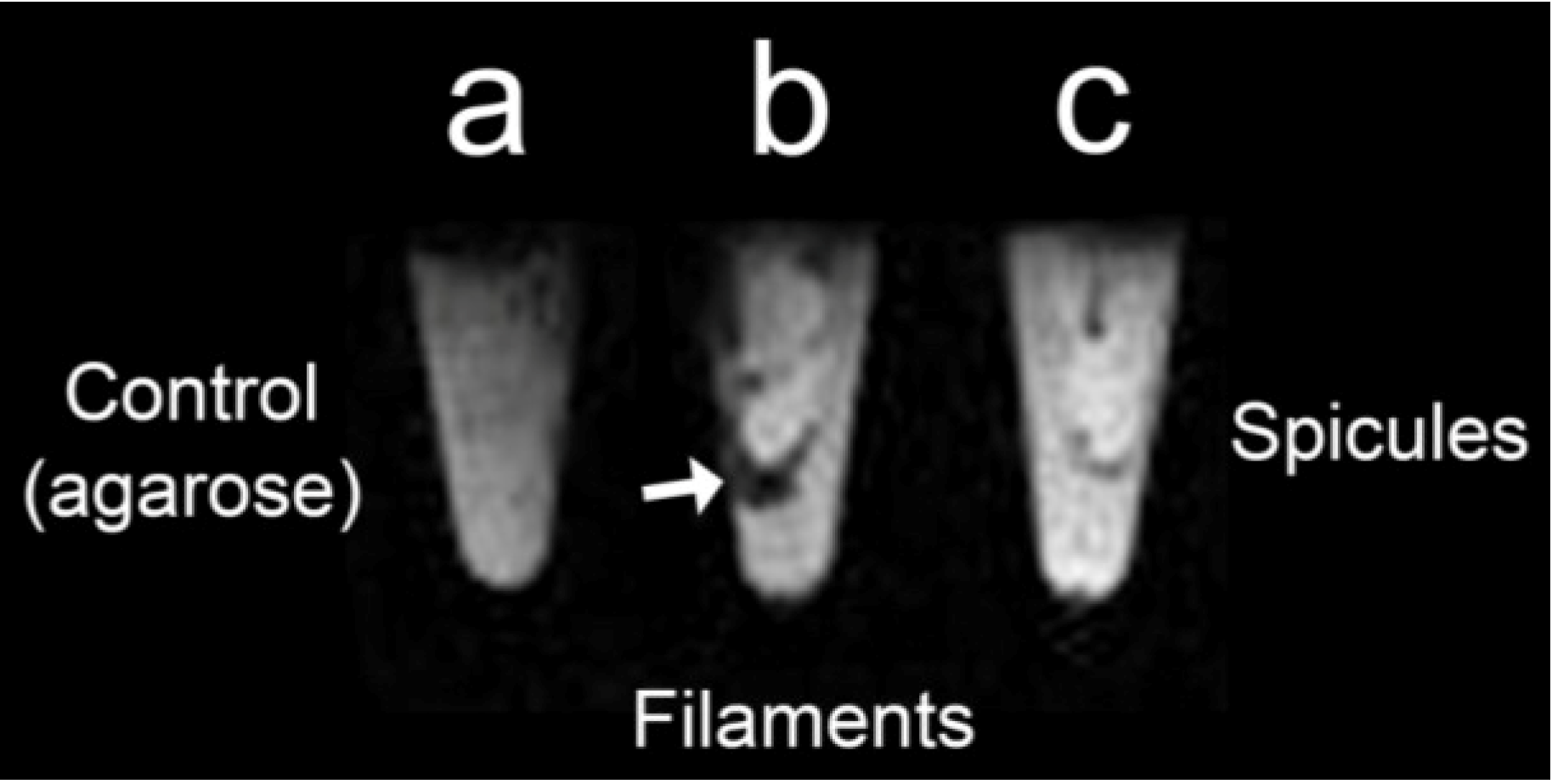 Marinedrugs 12 04659 g005