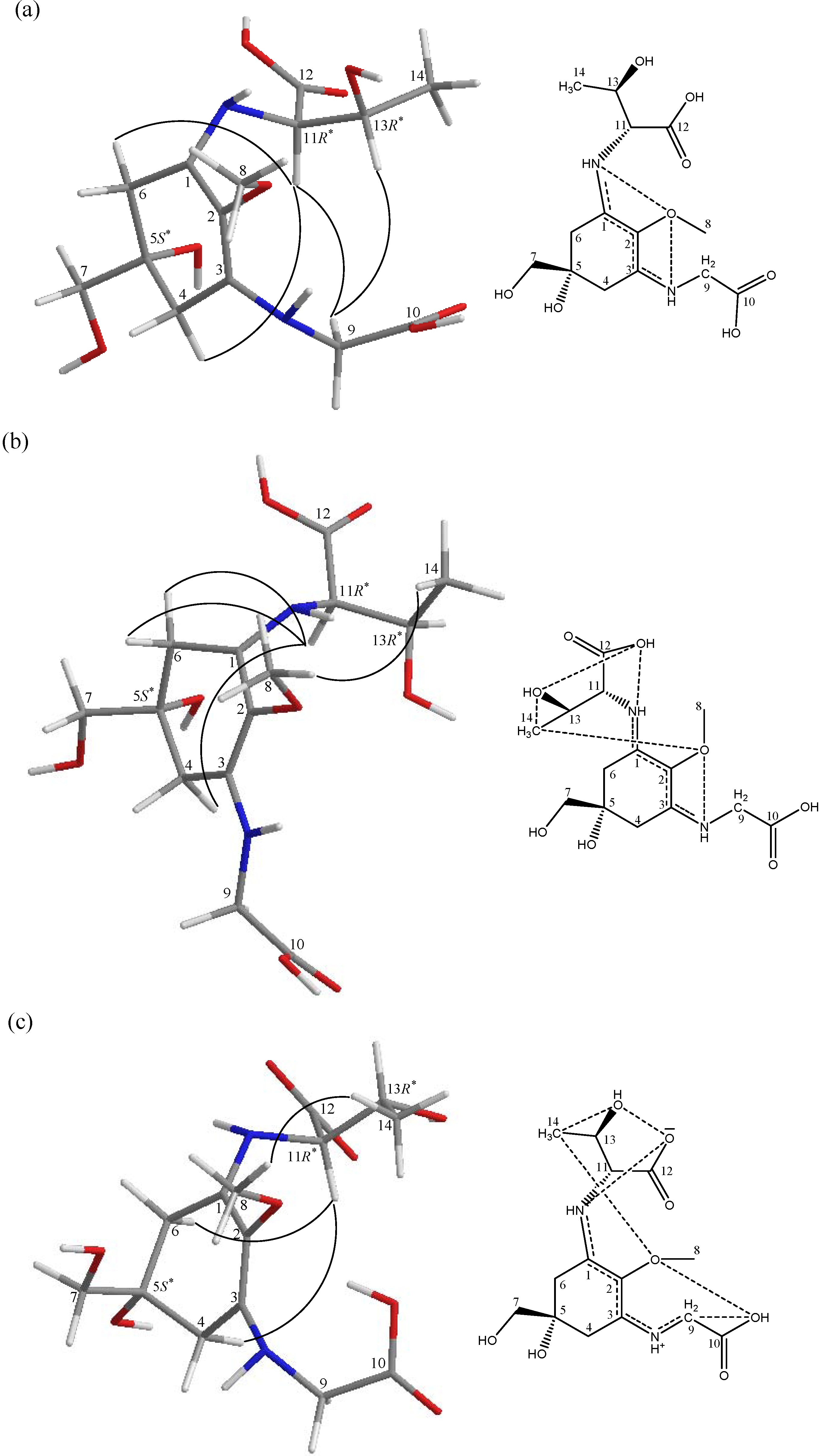 Marinedrugs 12 04732 g003 1024