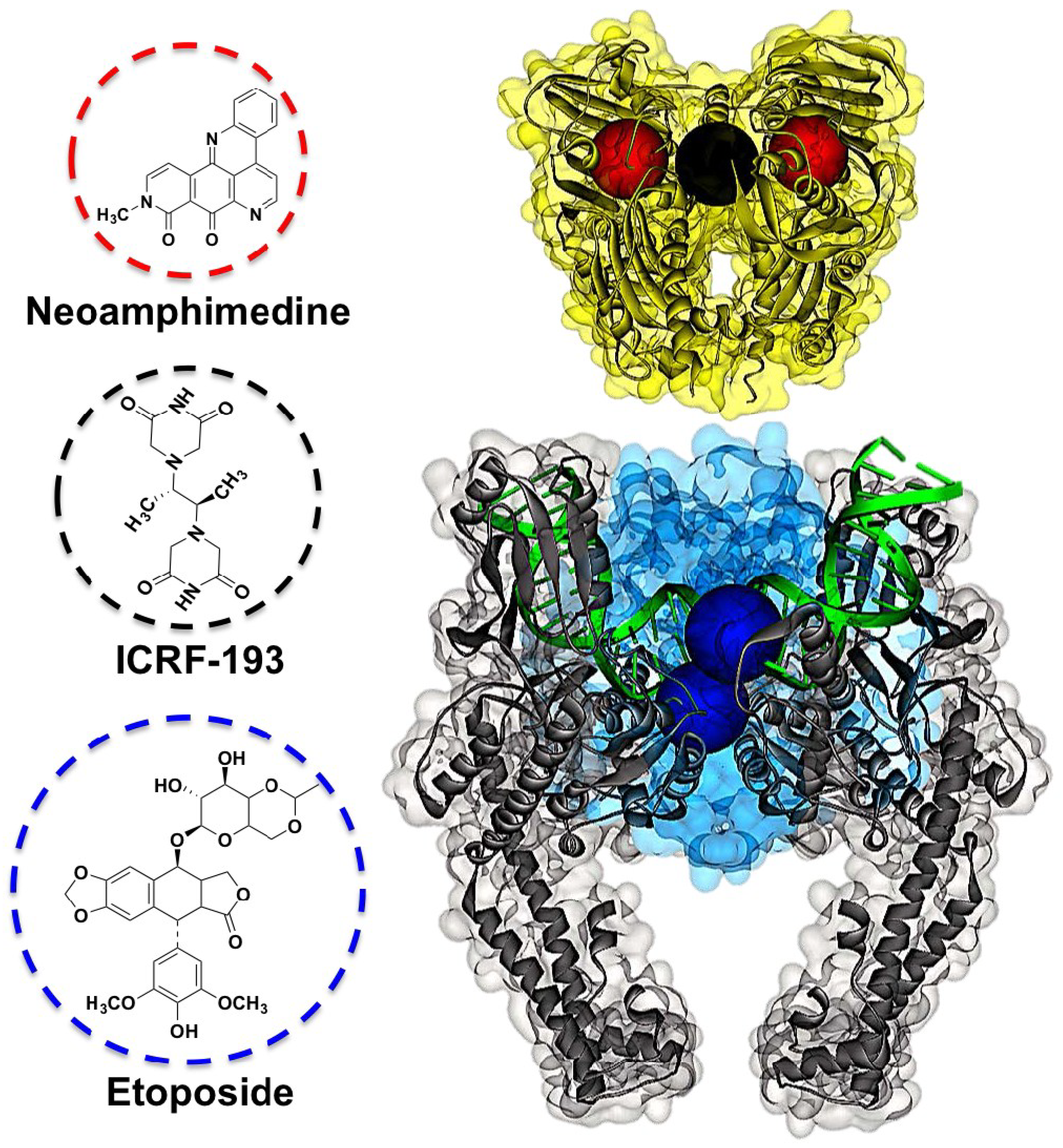 Marinedrugs 12 04833 g001