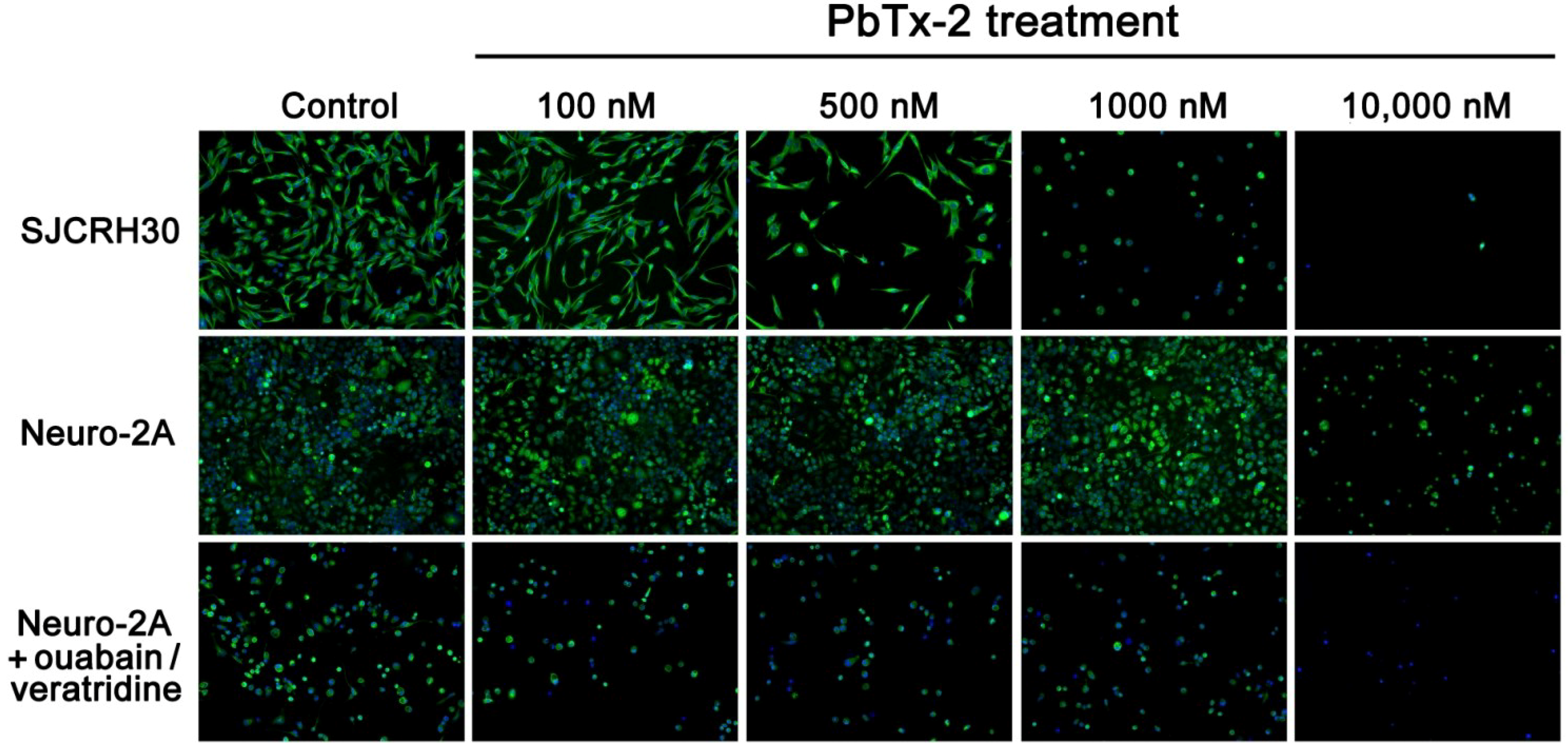 Marinedrugs 12 04868 g005 1024