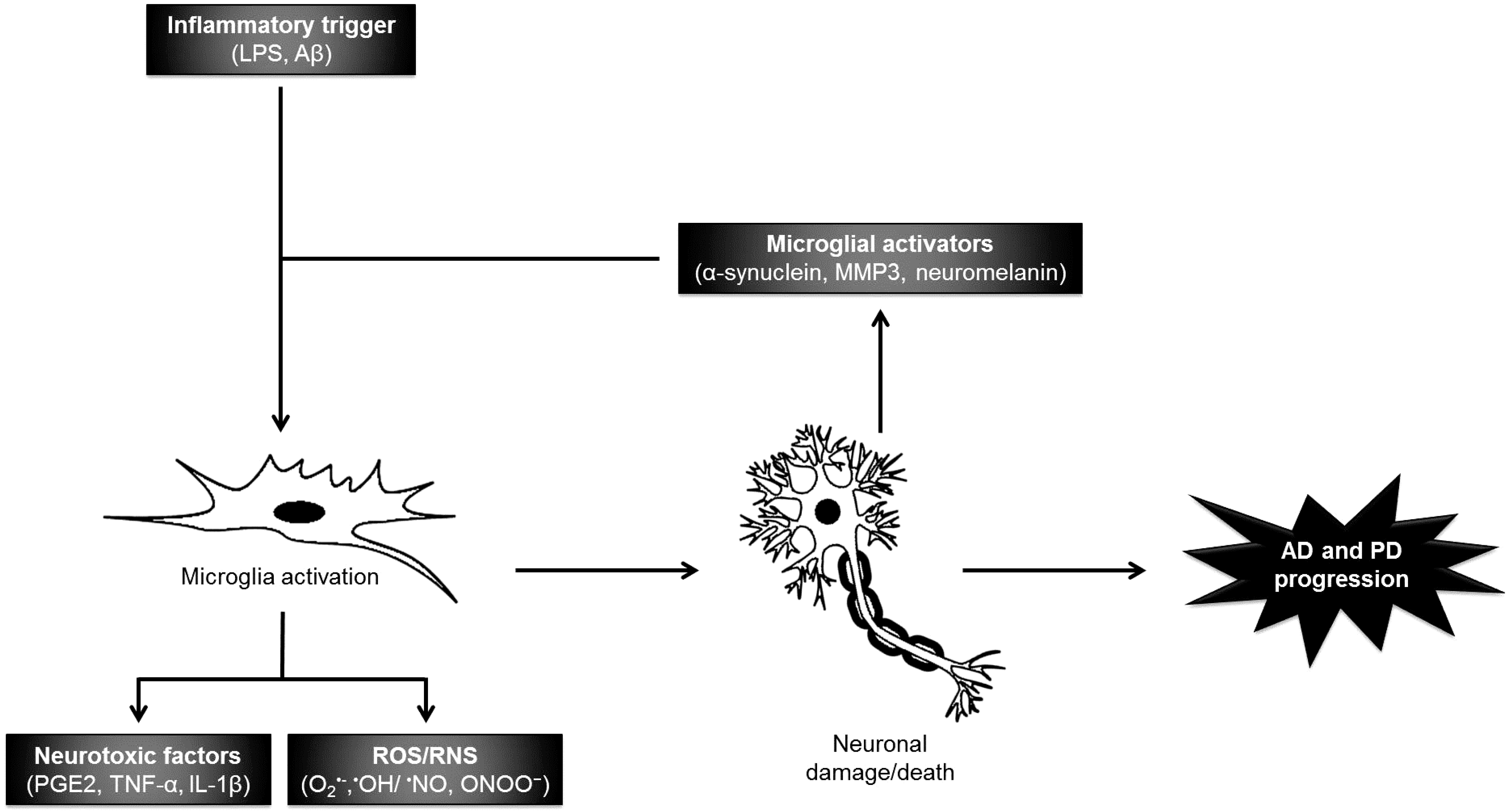 Bioactive Compounds from Macroalgae in the New Millennium