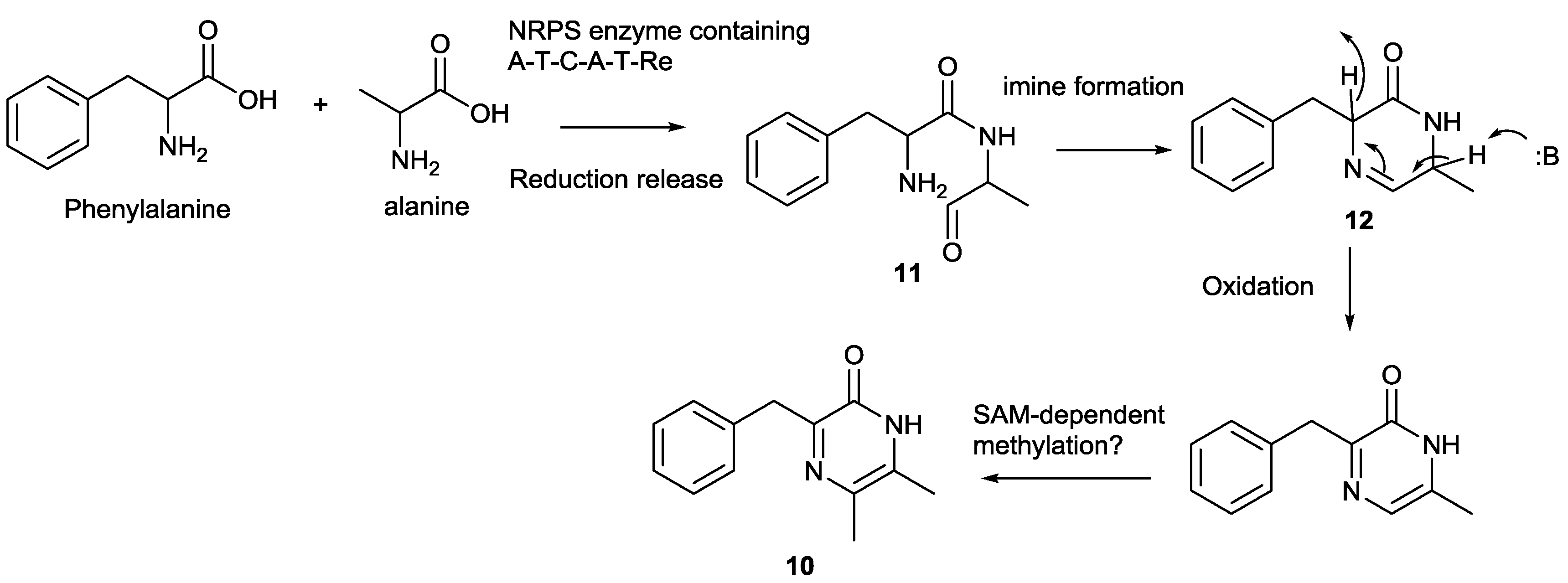 Marinedrugs 12 05197 g005