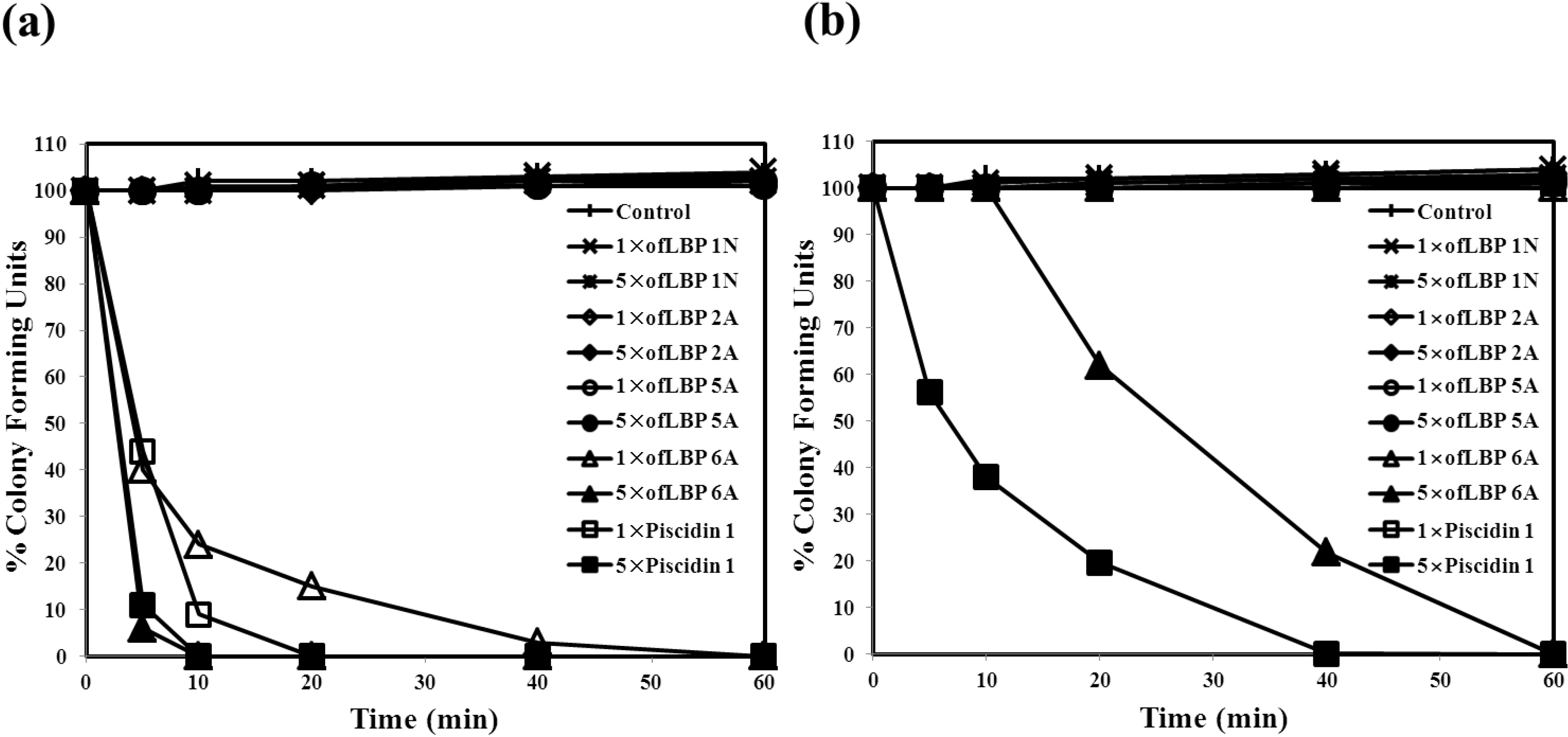 Marinedrugs 12 05240 g003