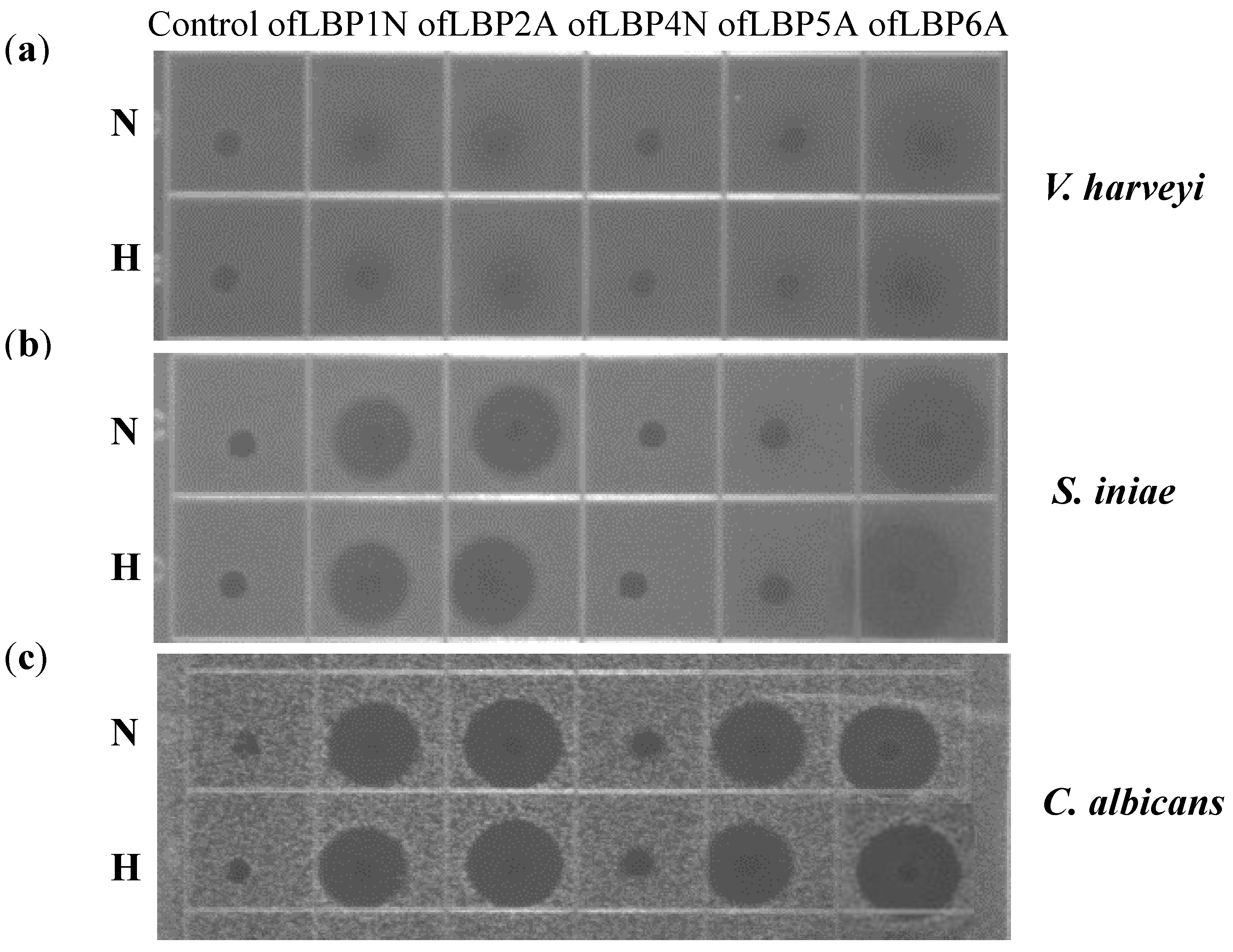 Marinedrugs 12 05240 g006