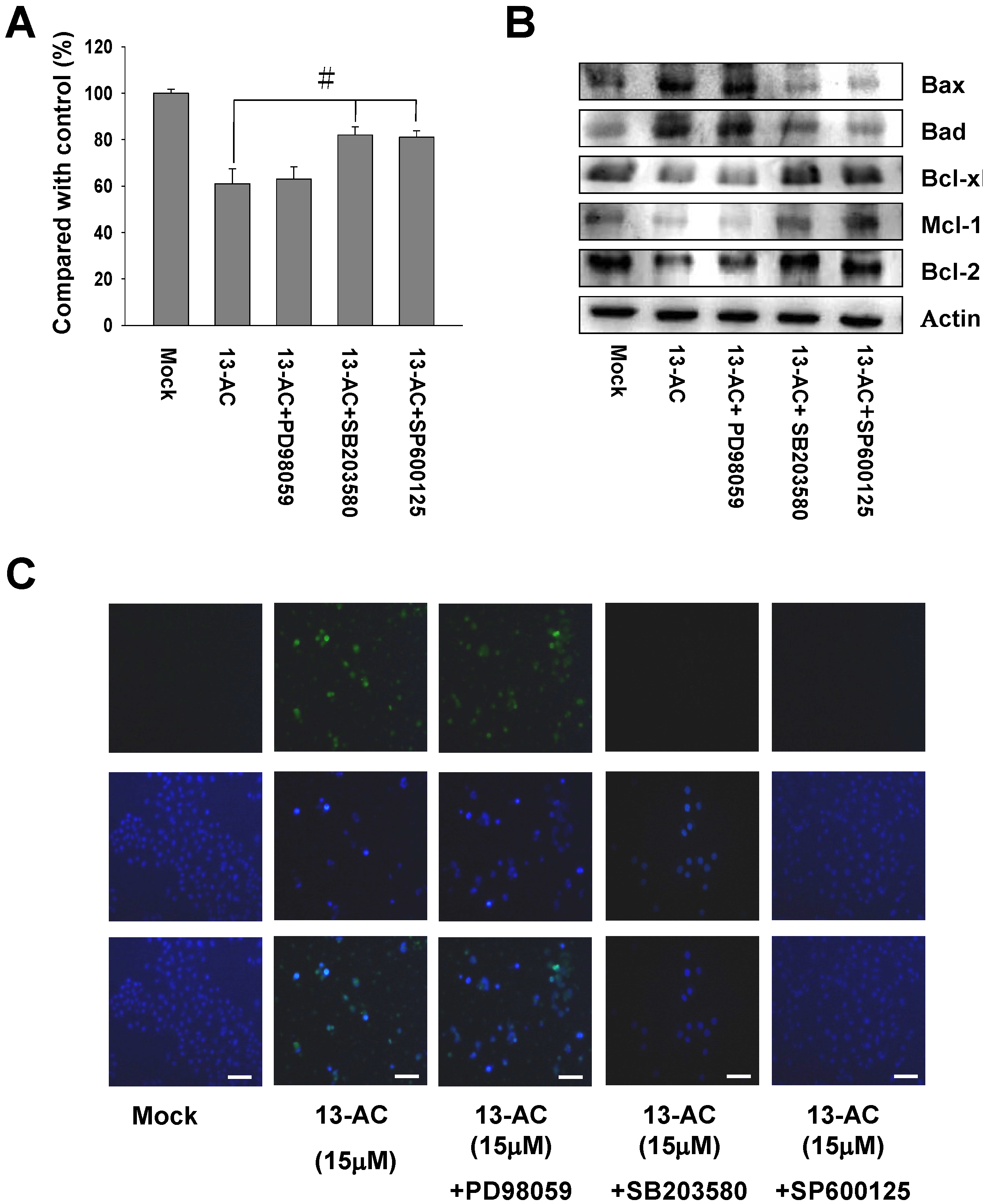 Marinedrugs 12 05295 g006