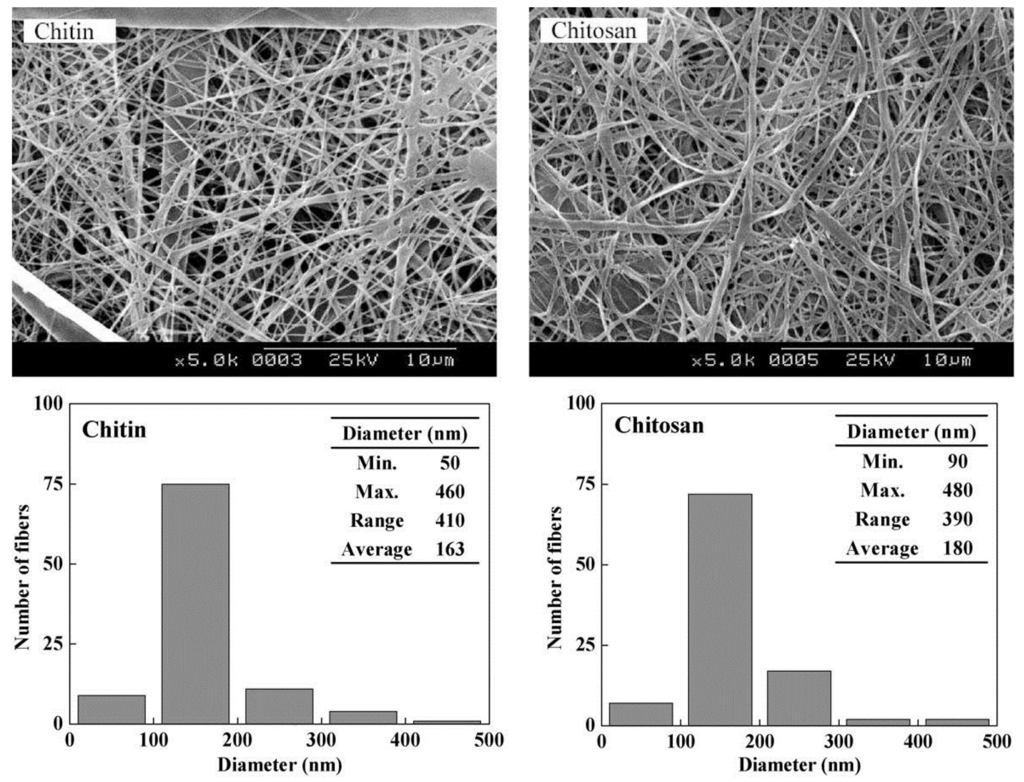 Emerging Biomedical Applications of Nano-Chitins and Nano