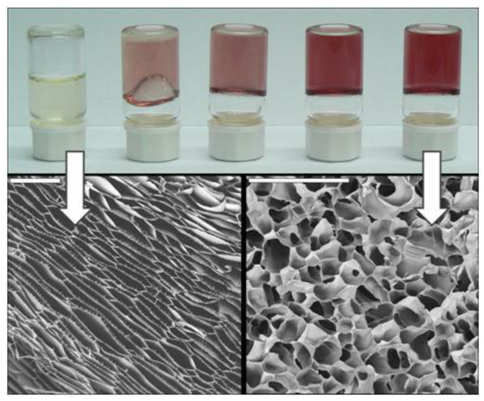 Marinedrugs 12 05619 g007 1024