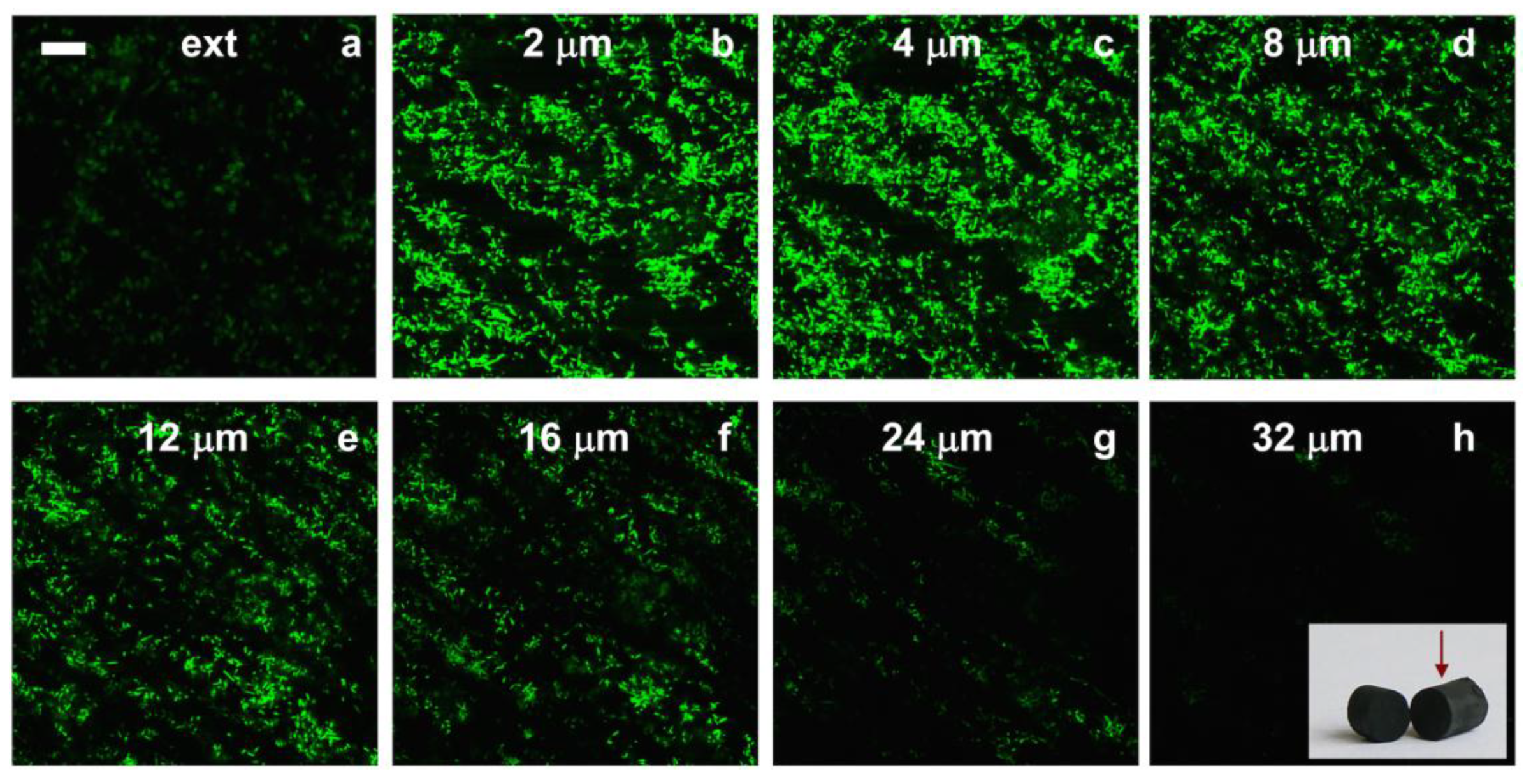 Marinedrugs 12 05619 g009 1024