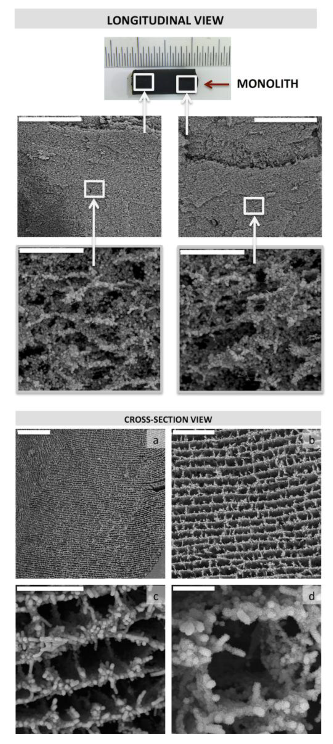 Marinedrugs 12 05619 g016 1024