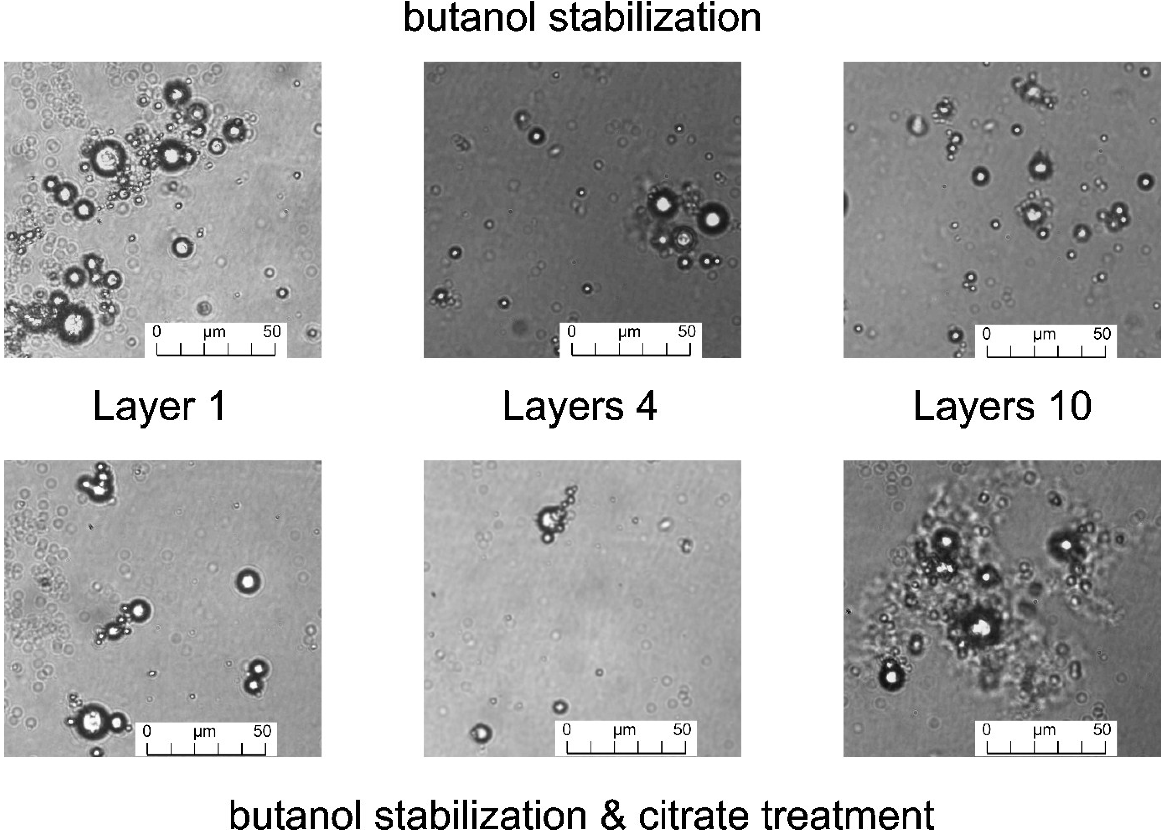 Marinedrugs 12 05801 g003 1024