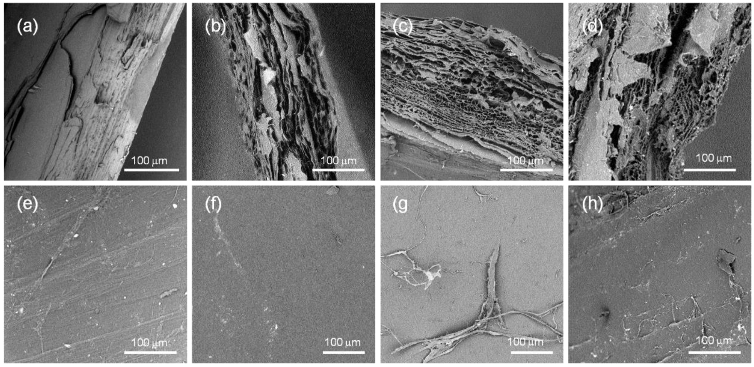 Marinedrugs 12 05979 g002 1024