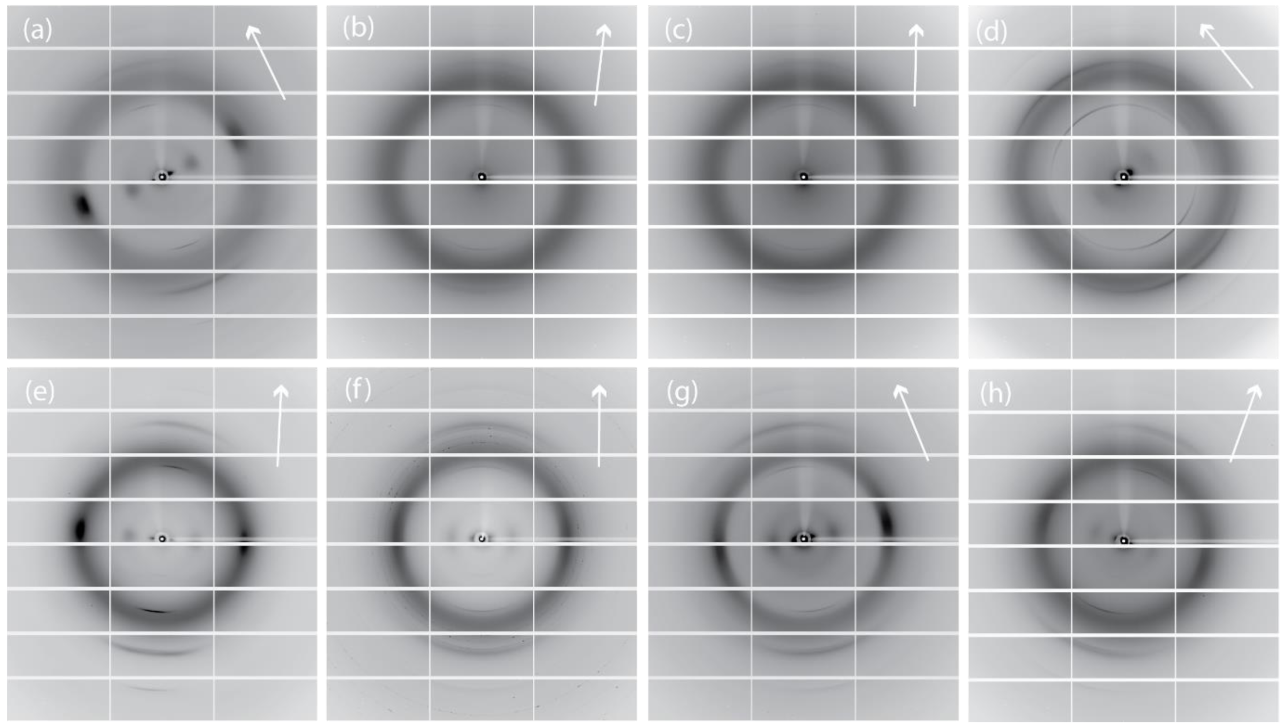 Marinedrugs 12 05979 g006 1024