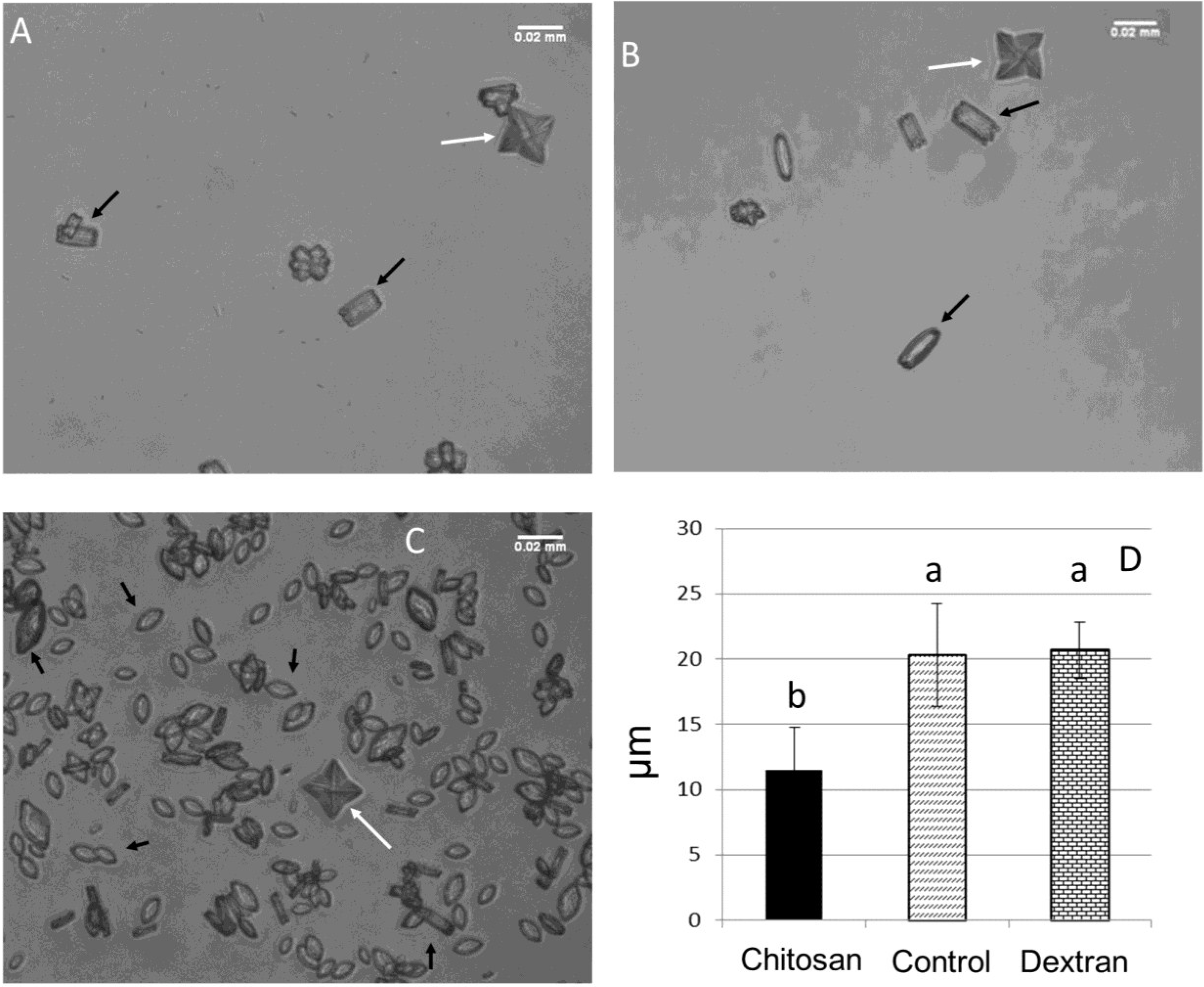 Marinedrugs 13 00141 g005