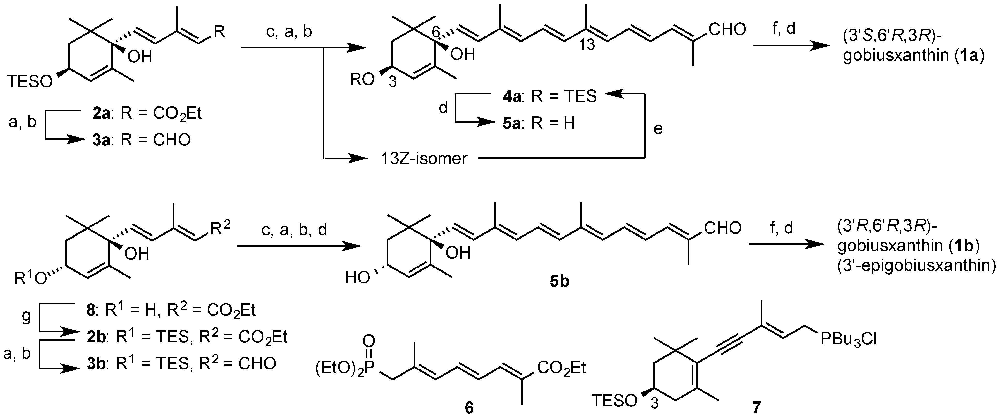 Marinedrugs 13 00159 g005 1024