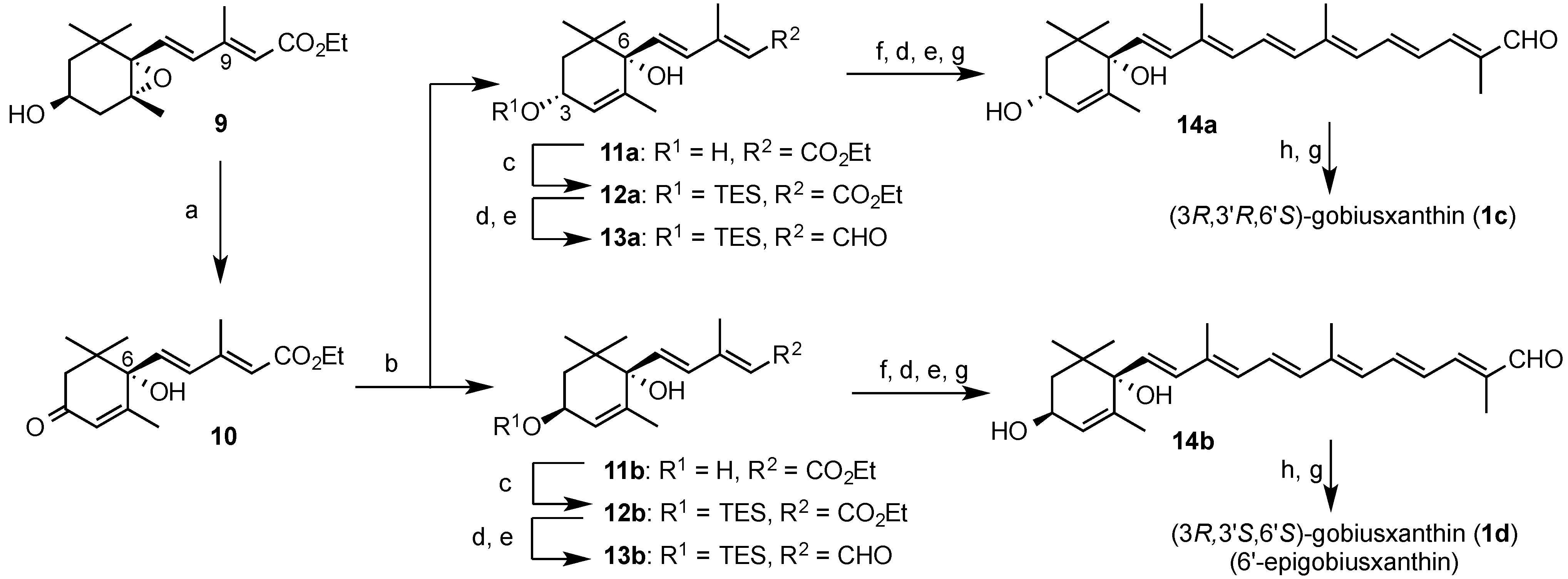 Marinedrugs 13 00159 g006 1024