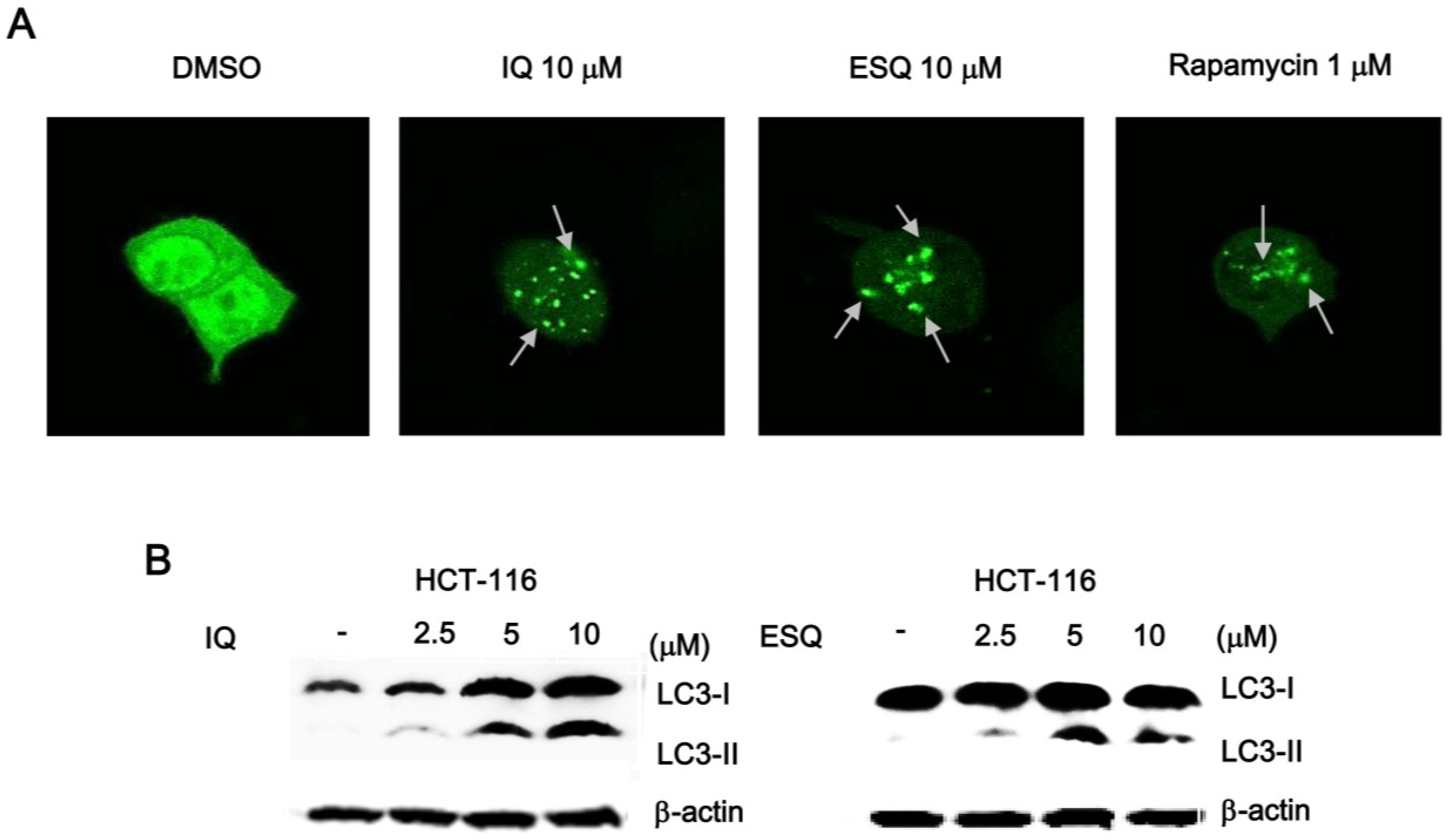 Marinedrugs 13 00543 g006