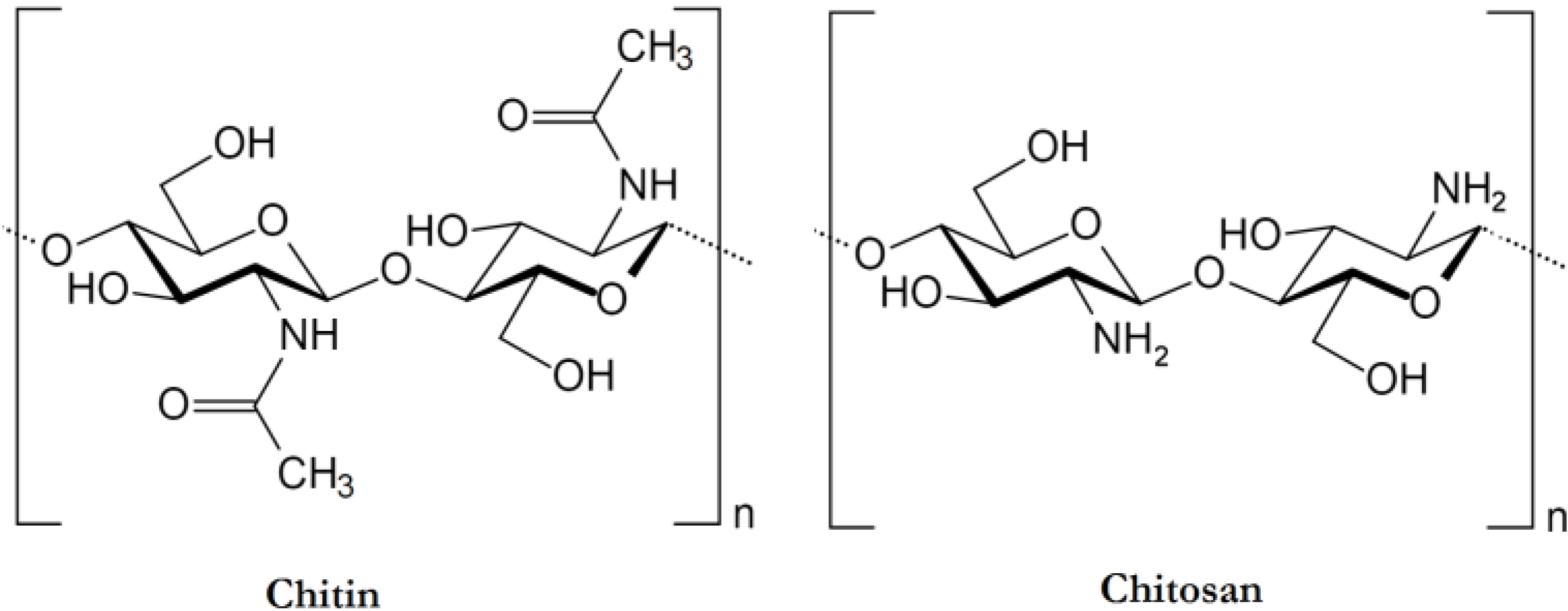 chitin definition